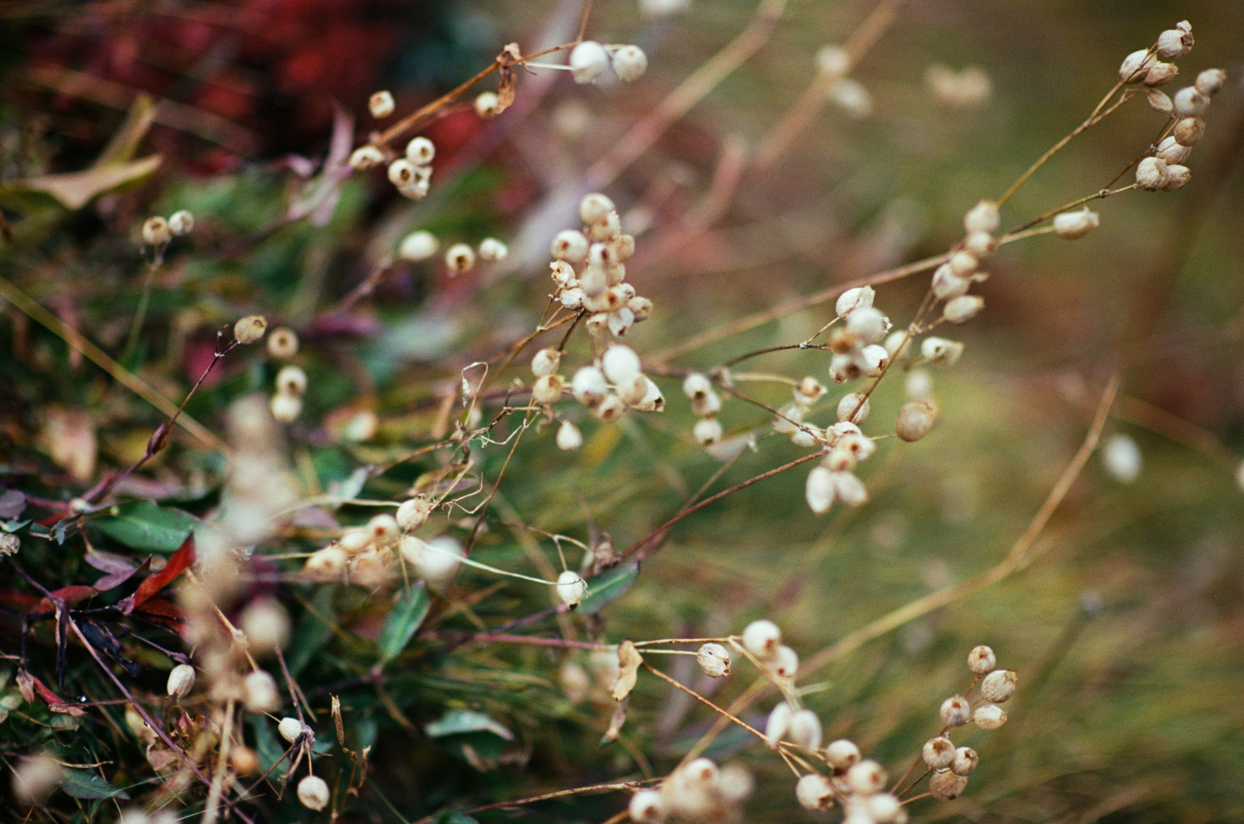 Fear for nobody // italy, dolomites IV. EVER EXPOSED