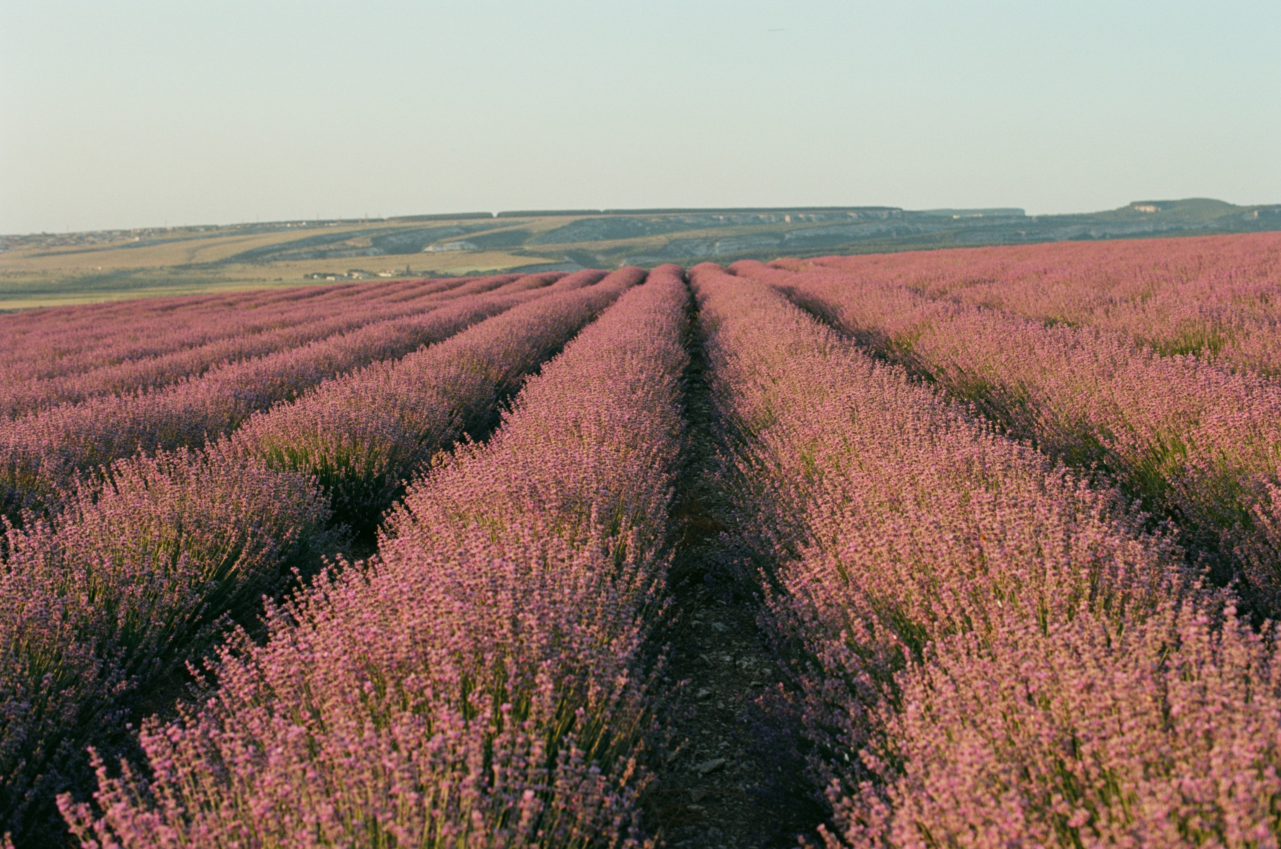 Silent running // ukraine, crimea VI. EVER EXPOSED