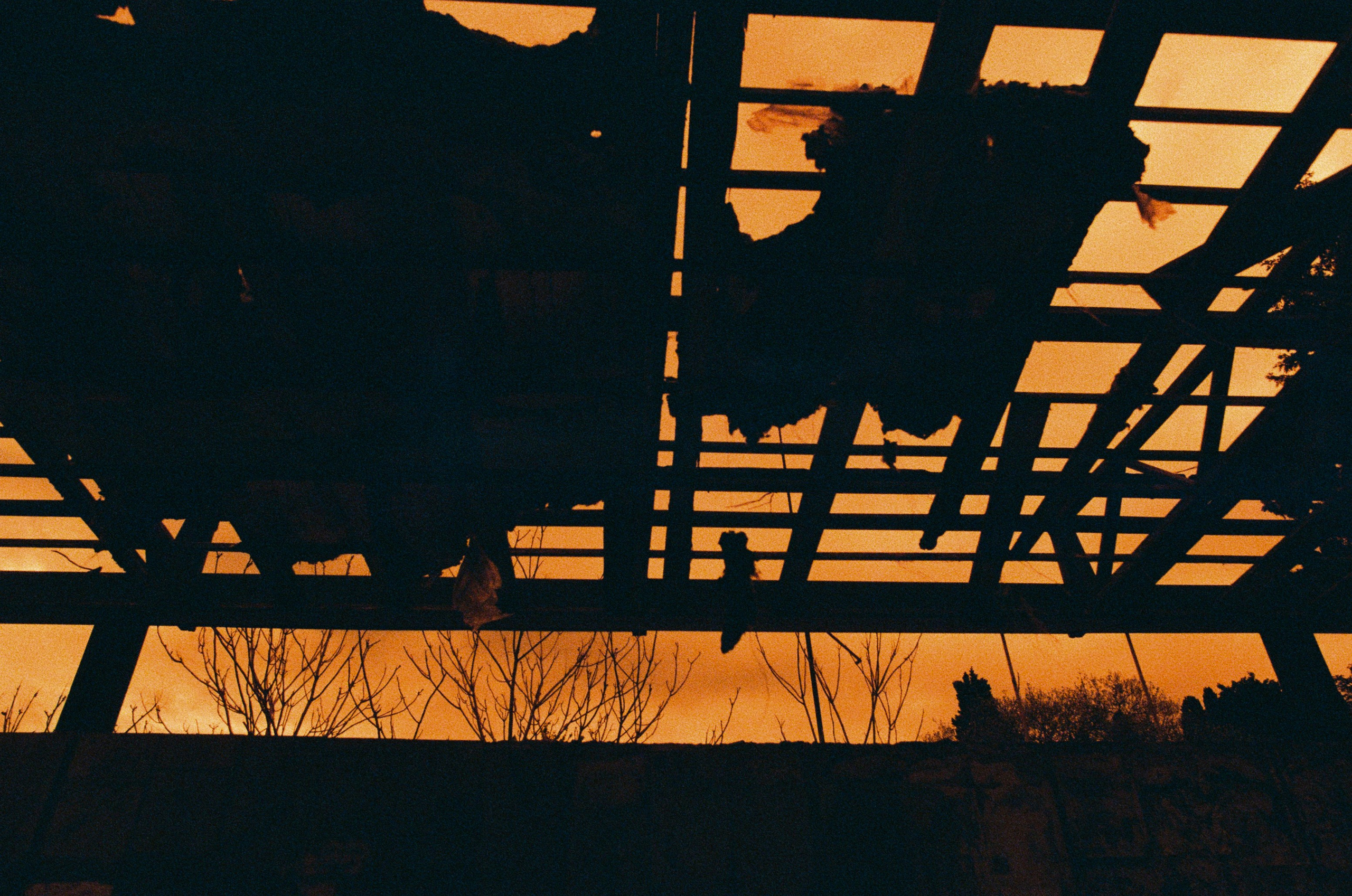 Sakura blues // ukraine, crimea VIII. EVER EXPOSED