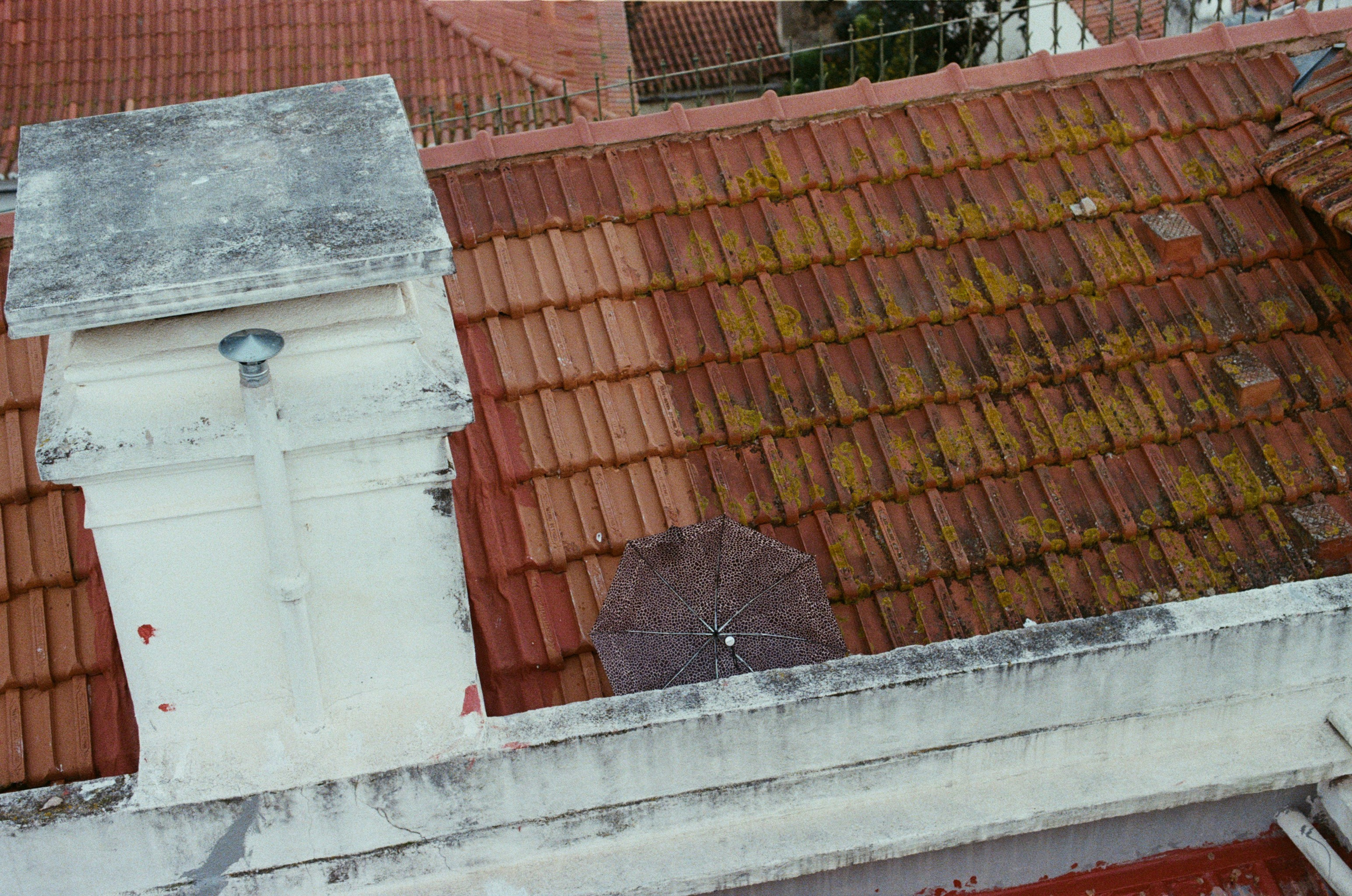 I think i'm ok // portugal, lissabon III. EVER EXPOSED