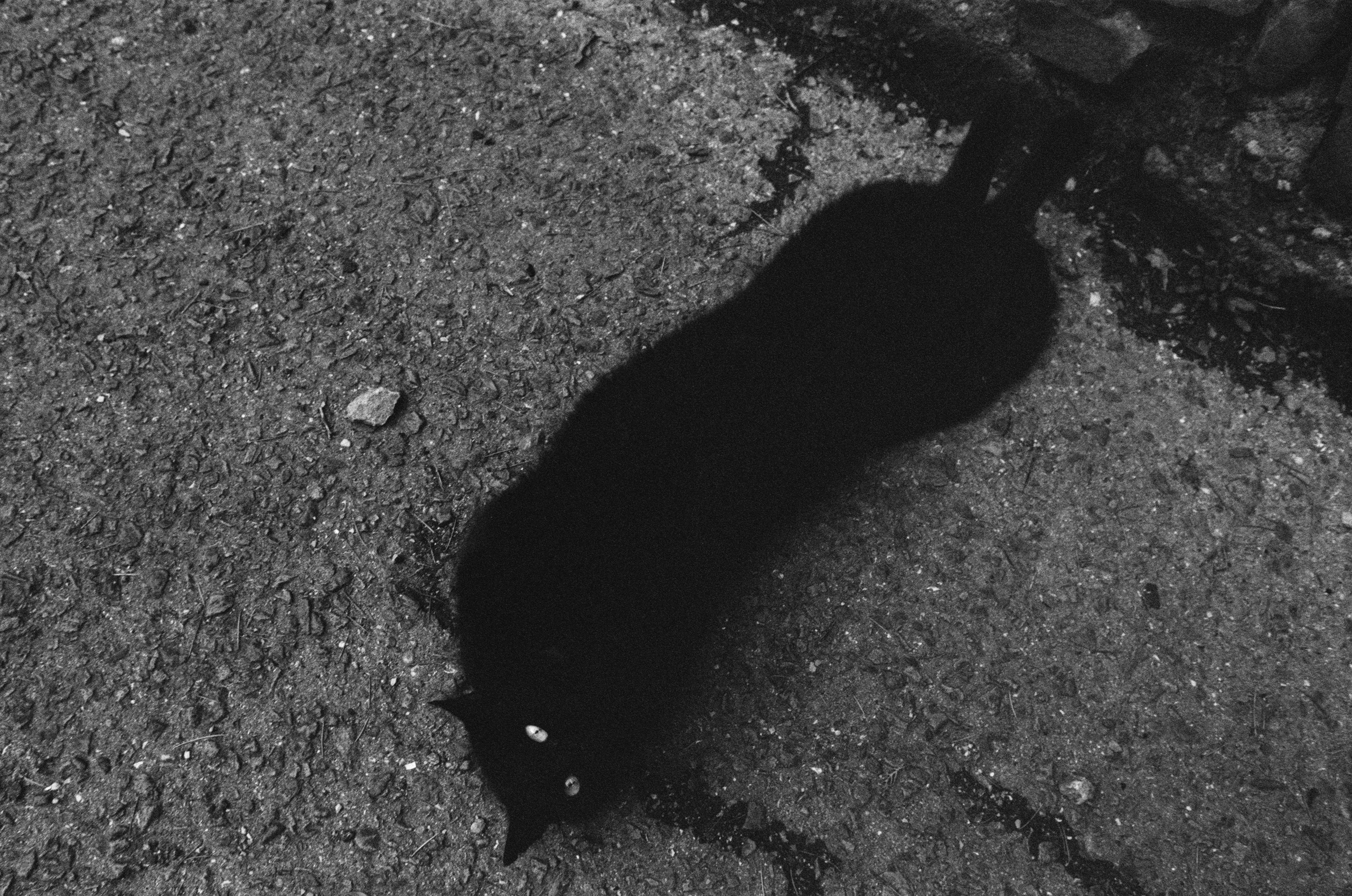 Oblomki chuvstv // ukraine, crimea. EVER EXPOSED