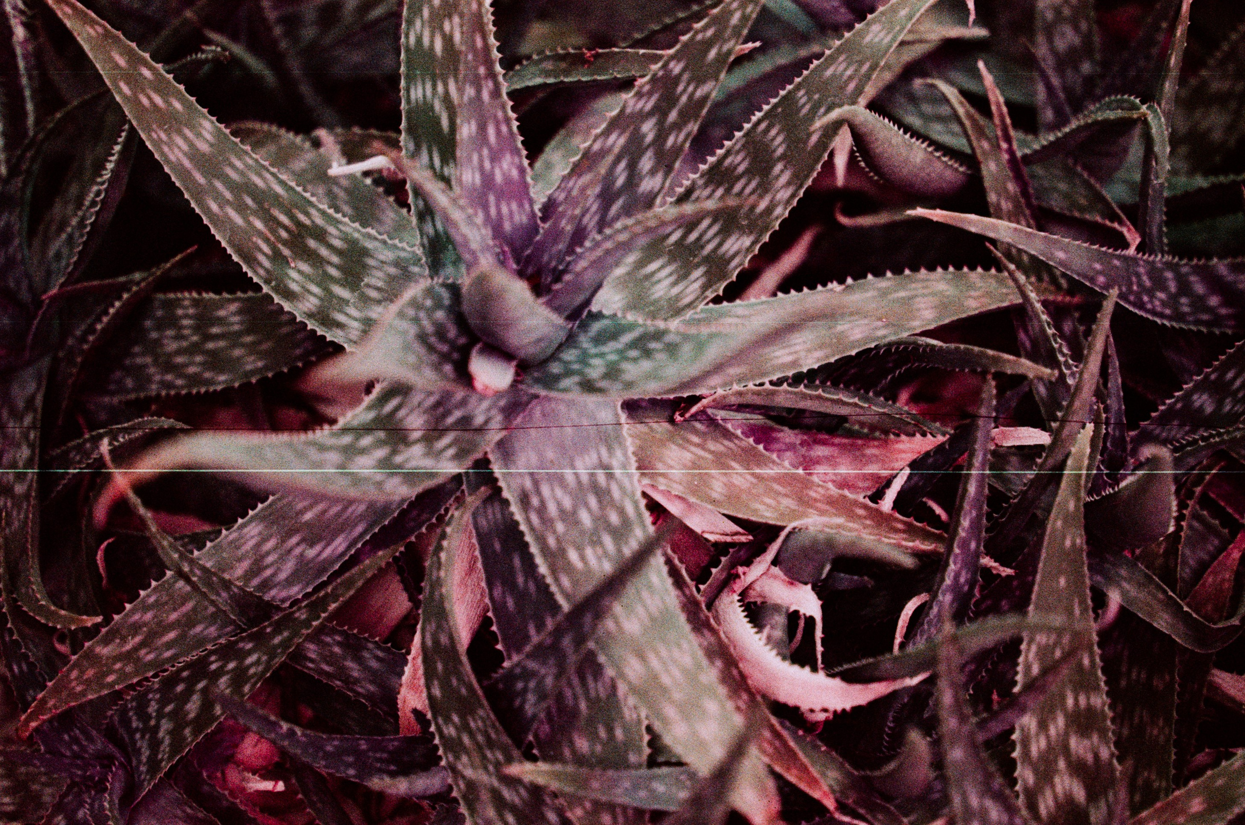 Pain shopping // ukraine, crimea II. EVER EXPOSED