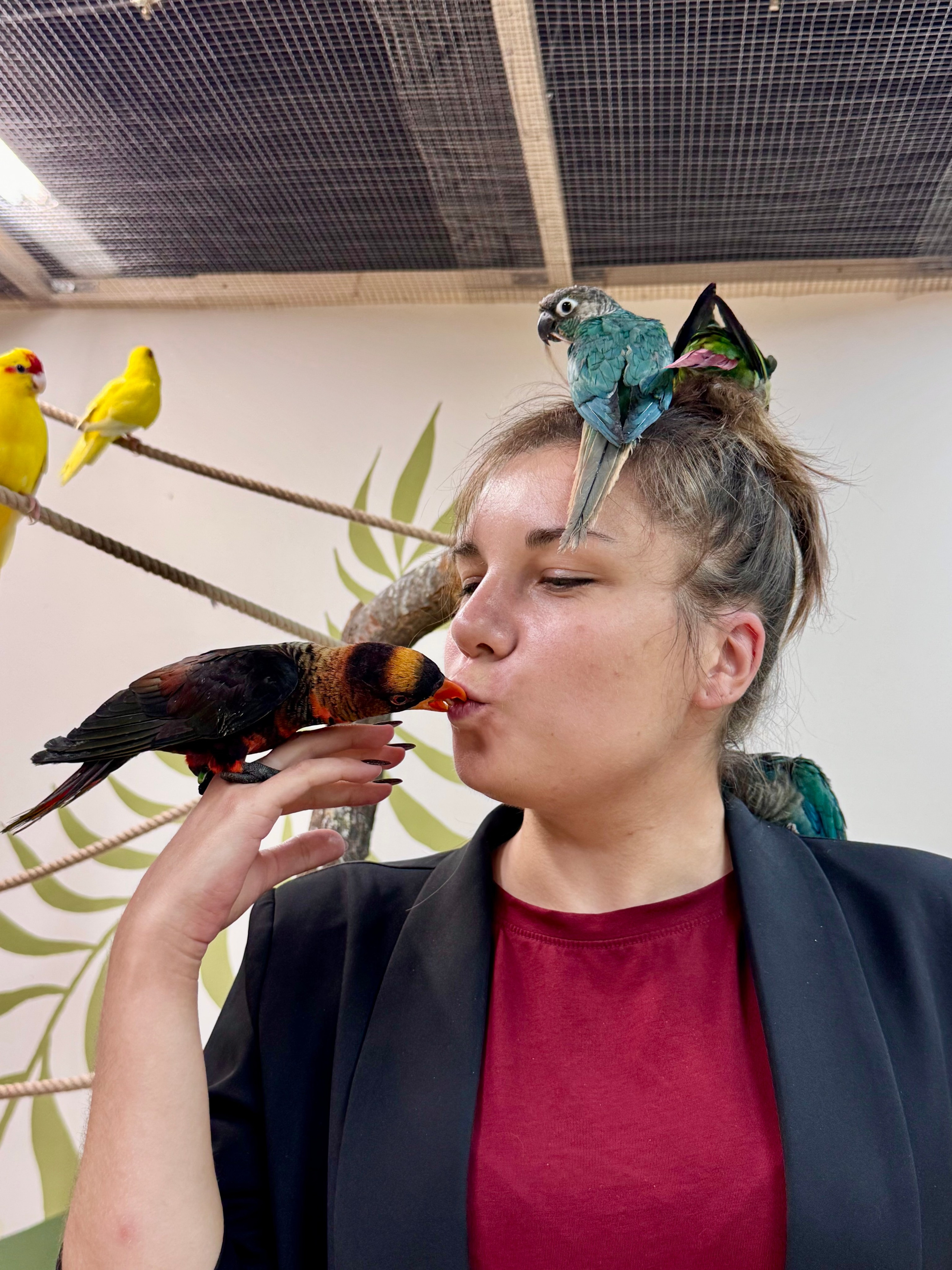 Попугайчики и детки. Фотограф и видеограф Апокина Мария Москва