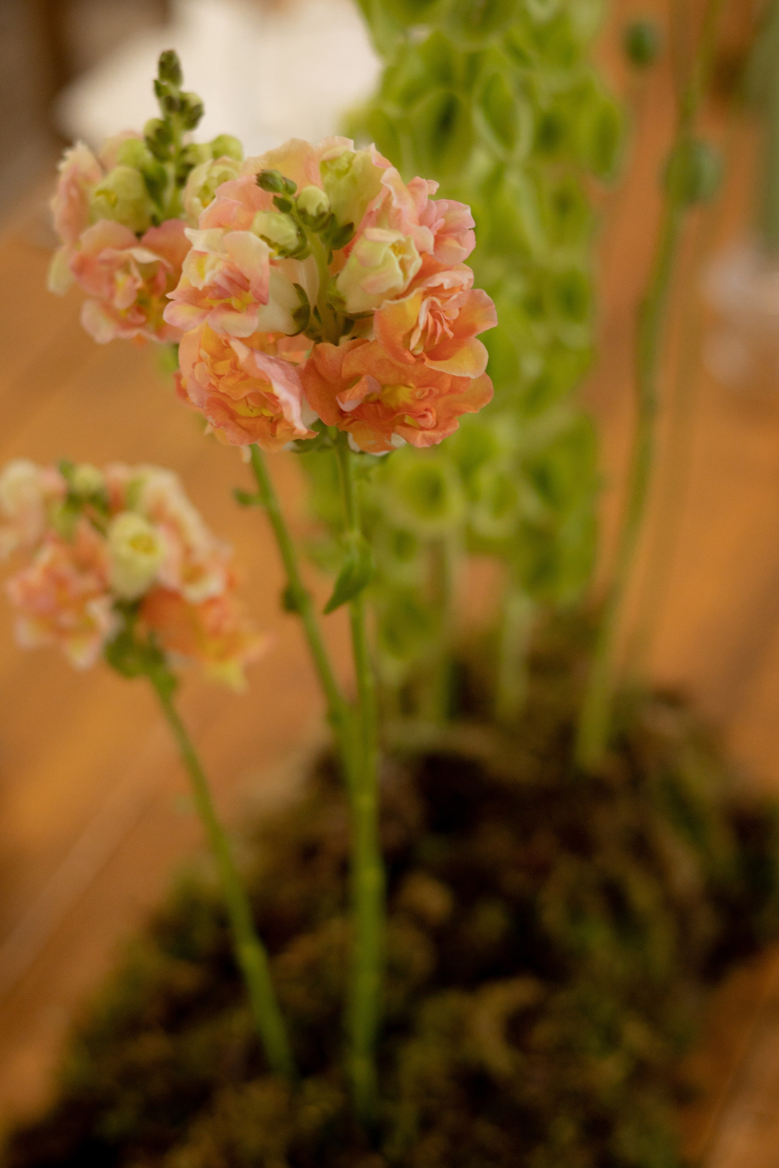 Никита & Катя. Оформление свадеб, декор свадеб Вера Маркова, Москва