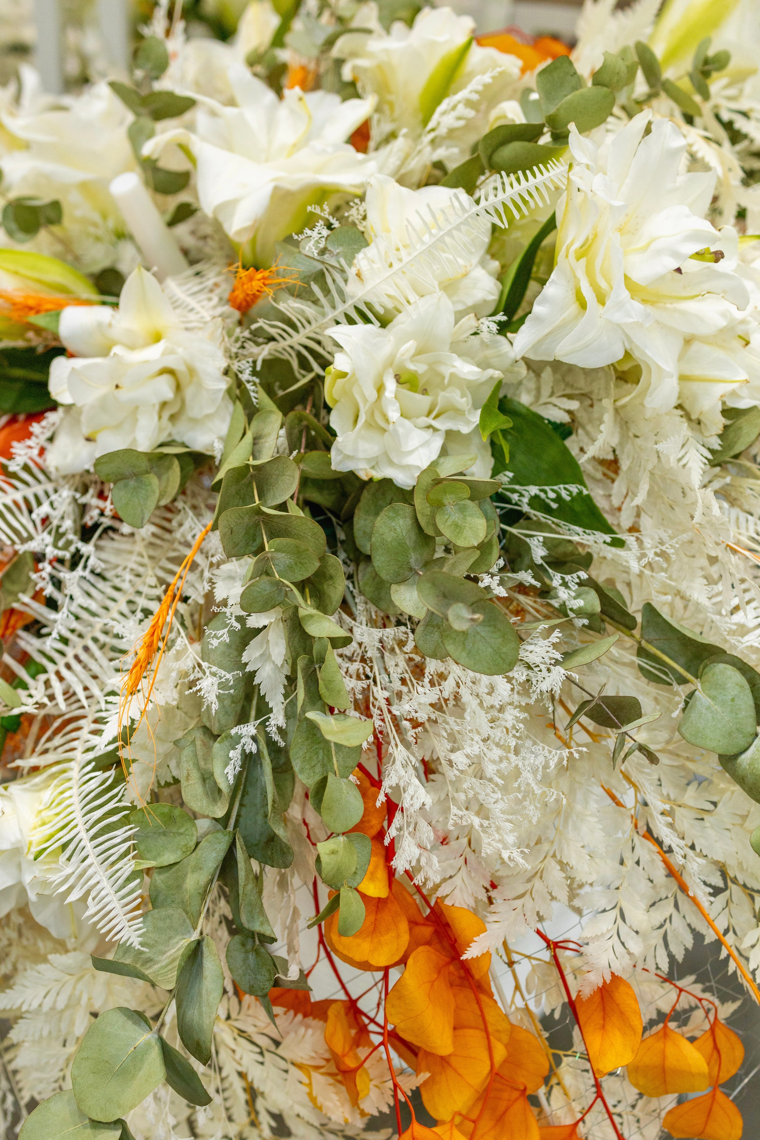 Цветы-Экспо 2025. Фотосессии и репортаж — Фотограф в Москве — Рина Серёгина