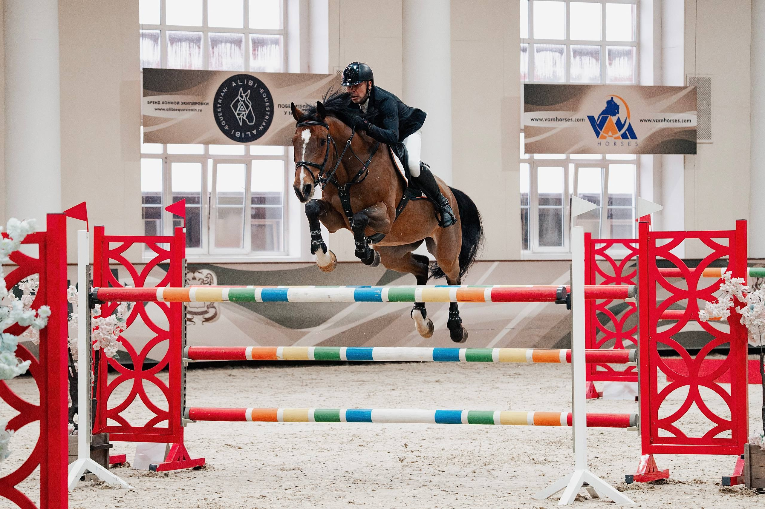 ЧЕМПИОНАТ МОСКОВСКОЙ ОБЛАСТИ ПО КОНКУРУ КСК «ВИВАТ, РОССИЯ!». Куракина Дарья • Конный фотограф