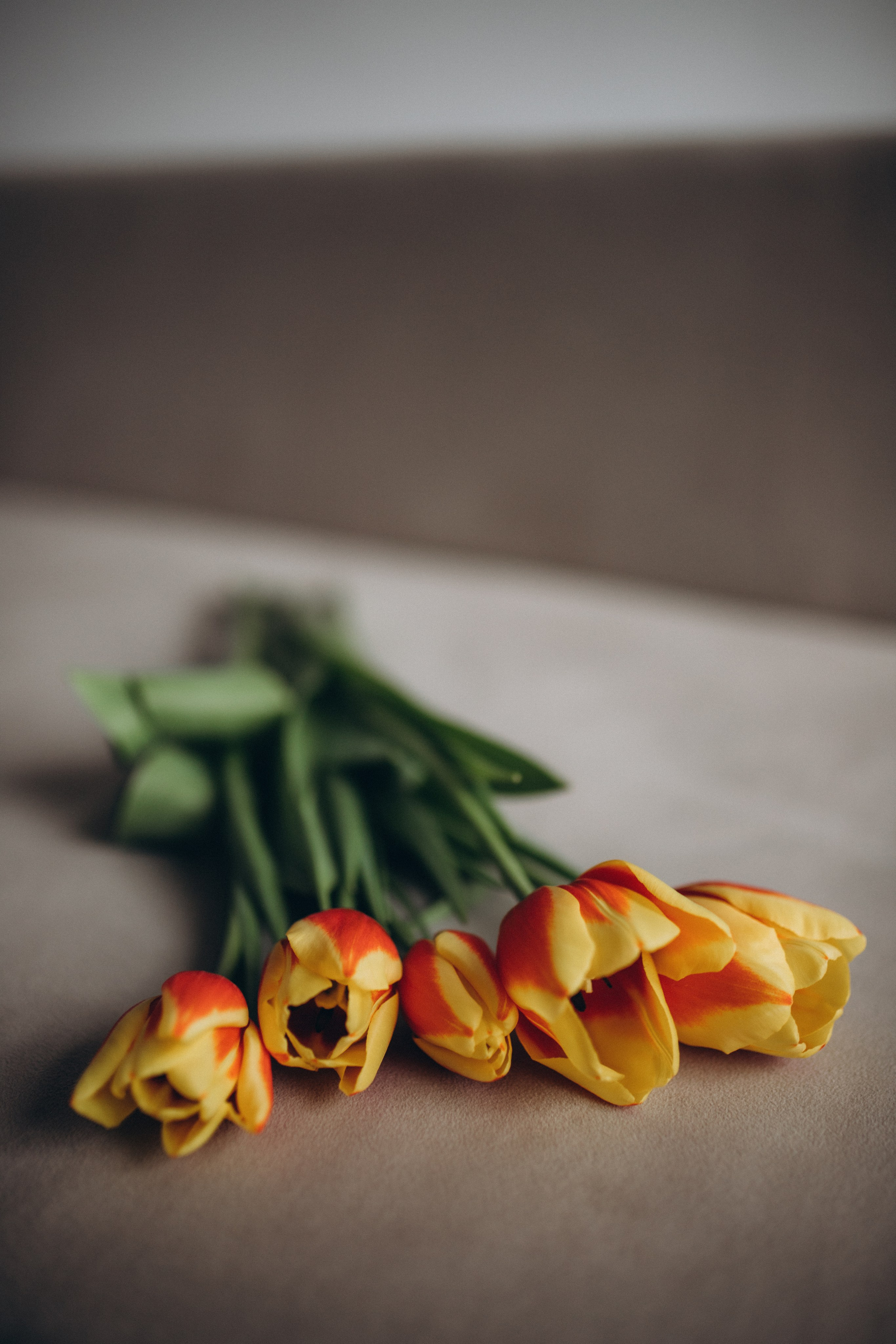 Амина. Фотограф Винокурова Кристина в Санкт-Петербурге