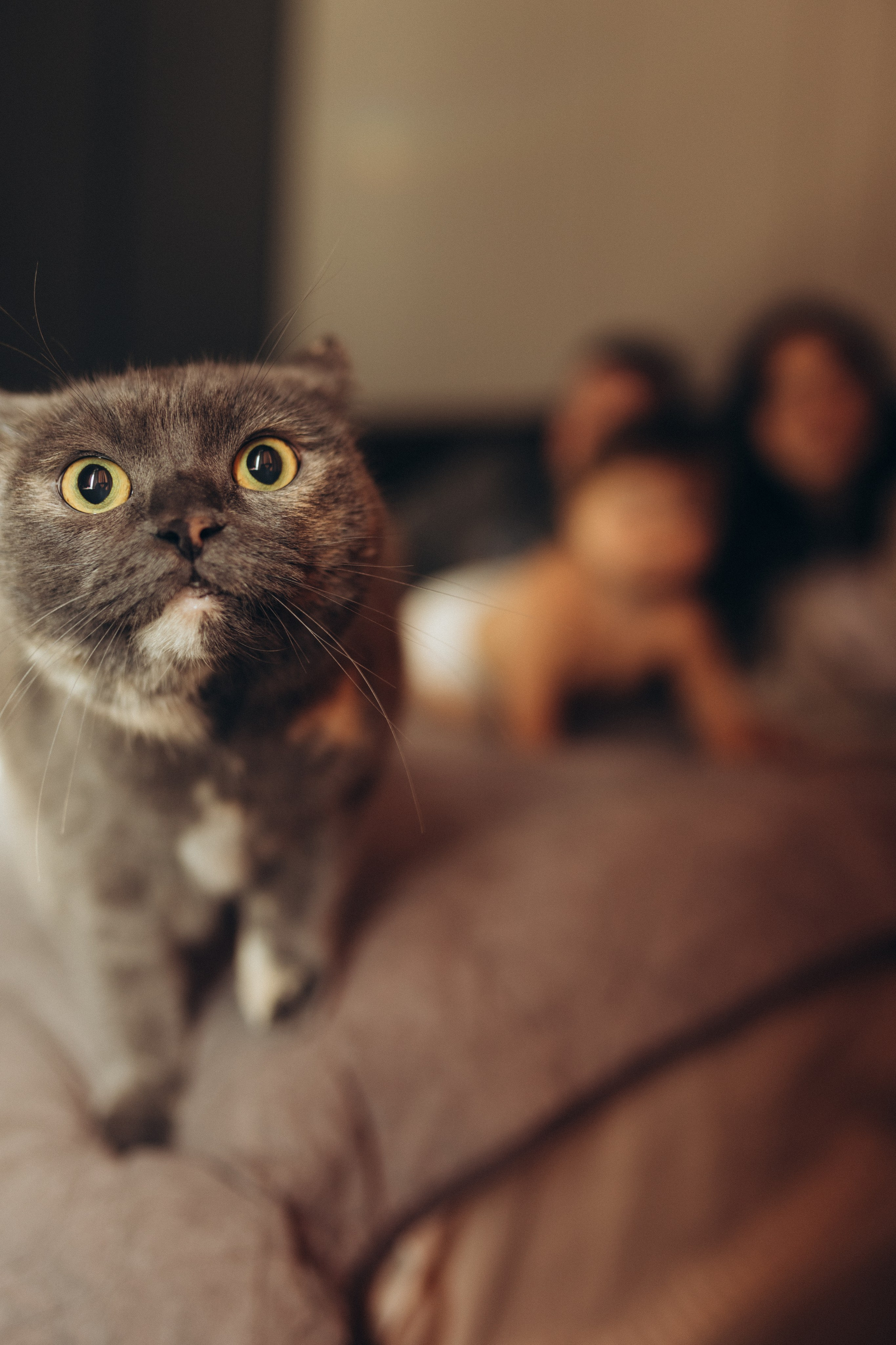 Тихий час. Фотограф из Петербурга