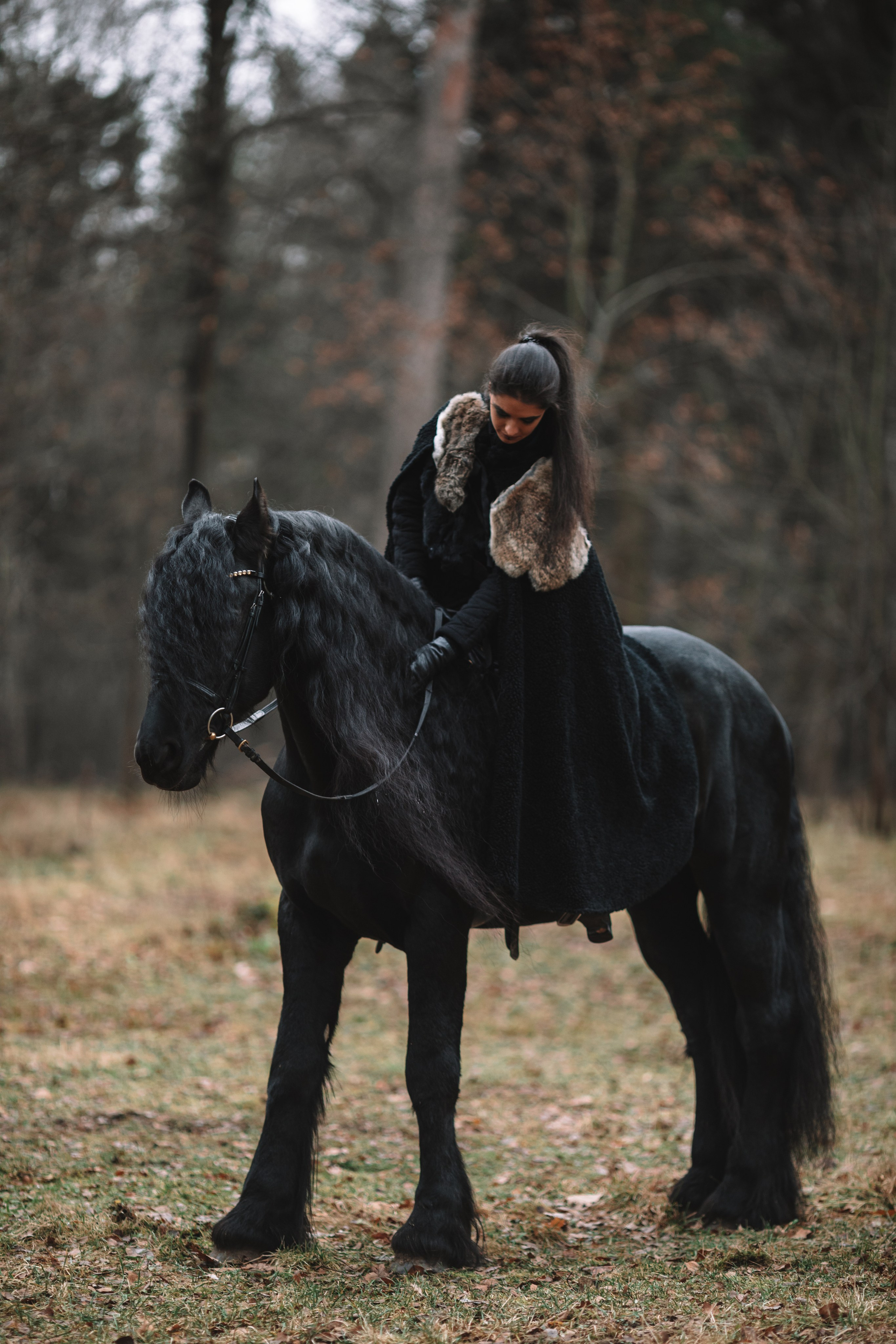 Наташа с фризом в костюме викинга. Фотосессии с лошадьми