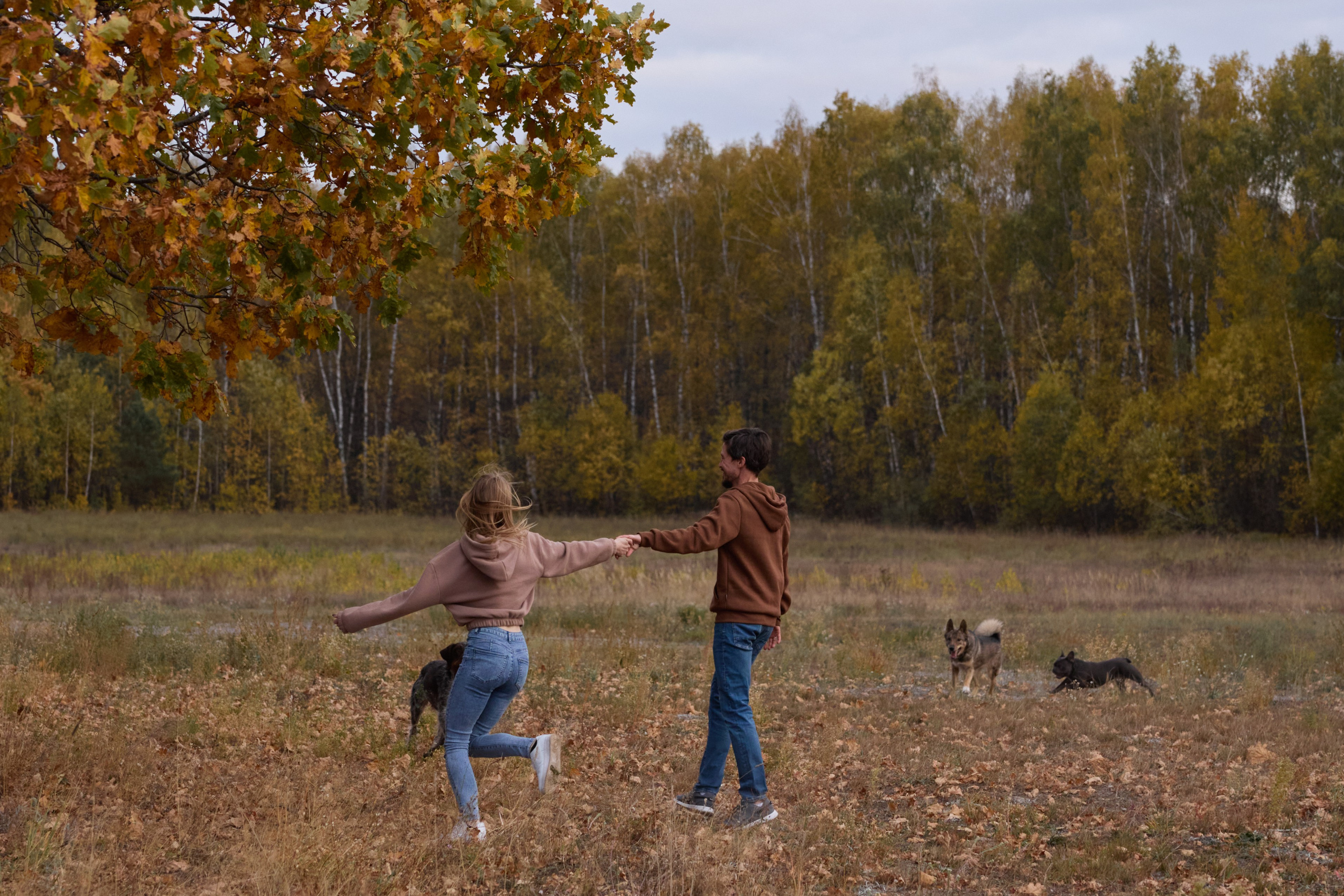 Семейная история. Фотограф анималист в Казани Алина Сулейманова. Фотограф животных