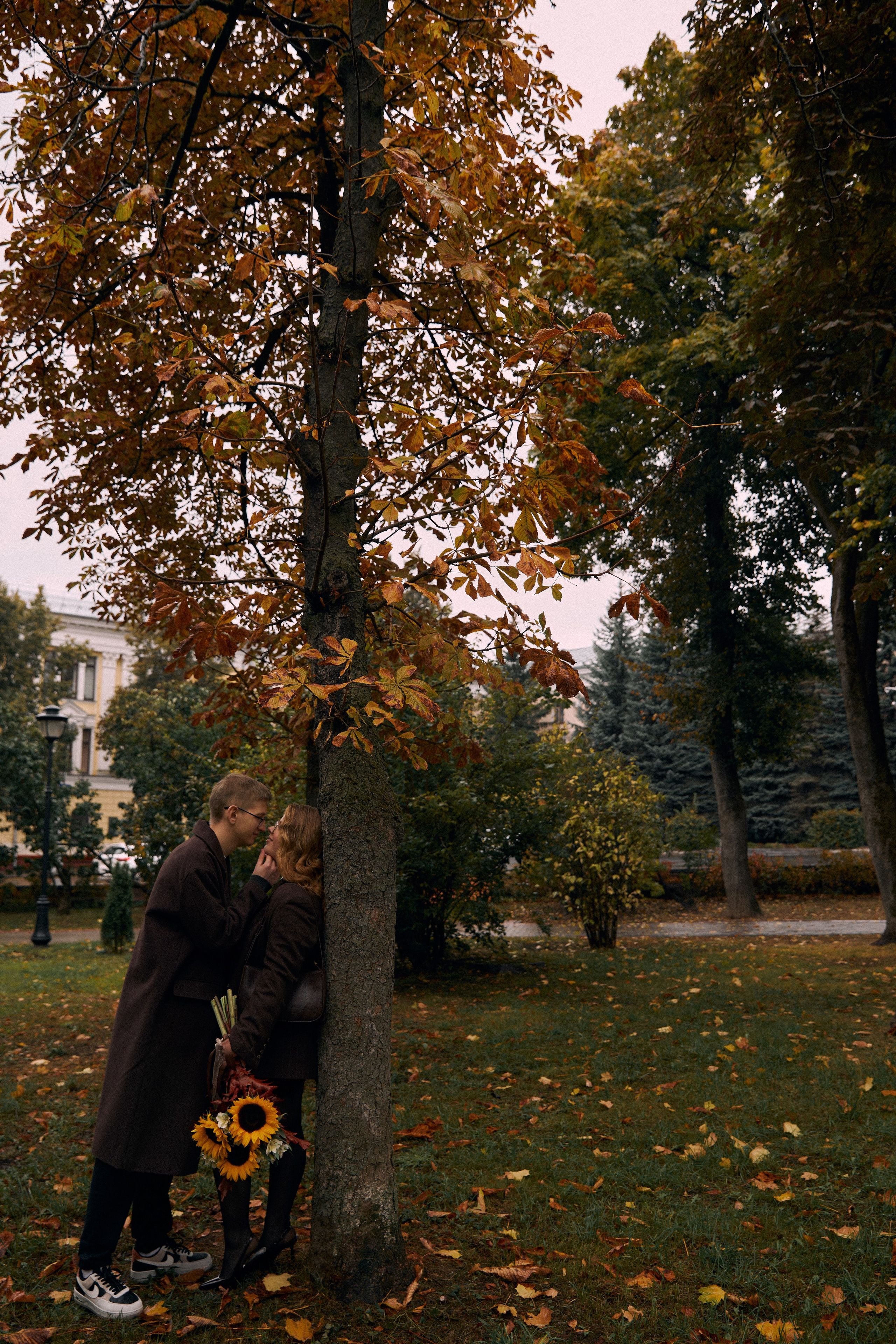 Подсолнухи