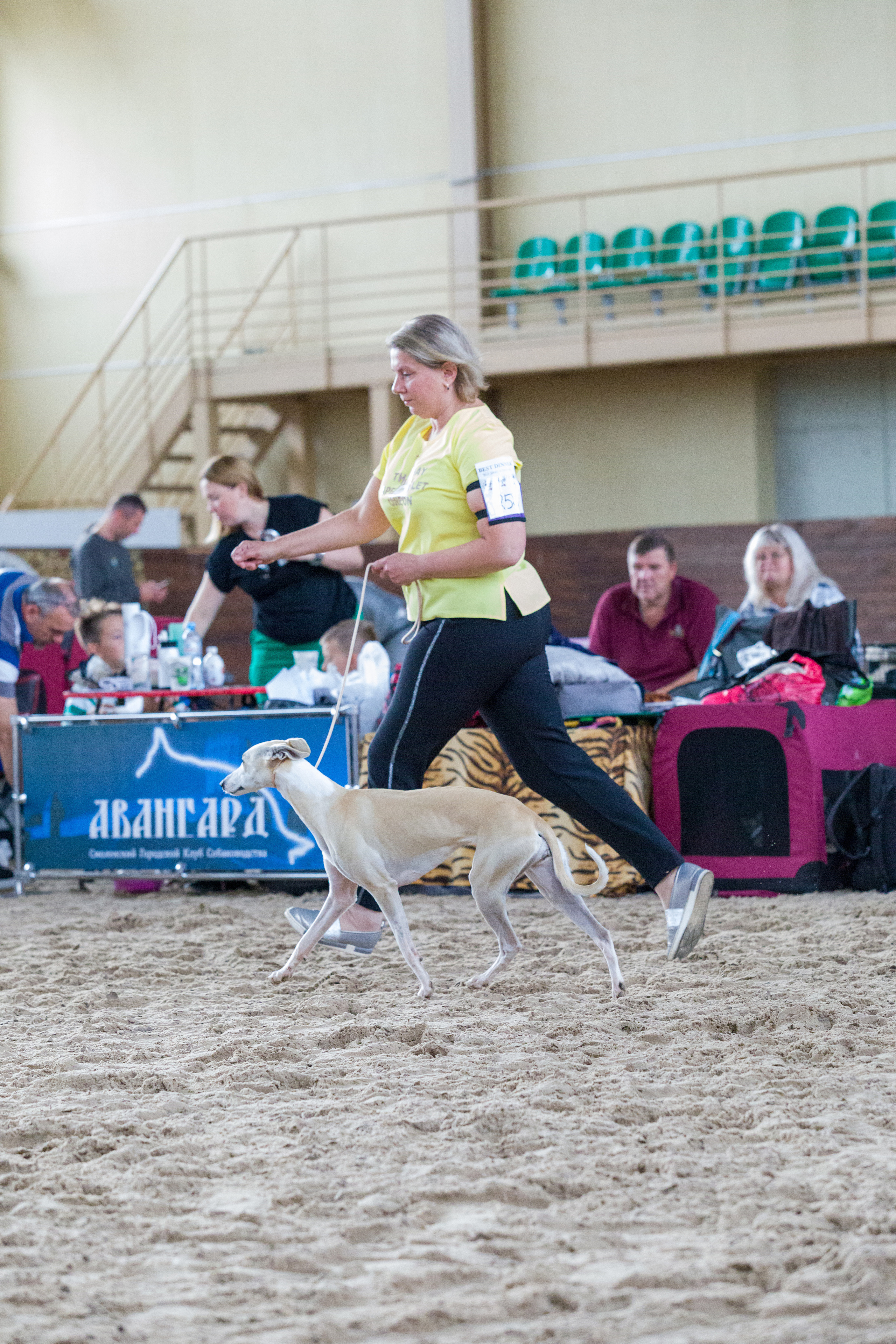 Выставки. Фотограф — анималист Татьяна Ли
