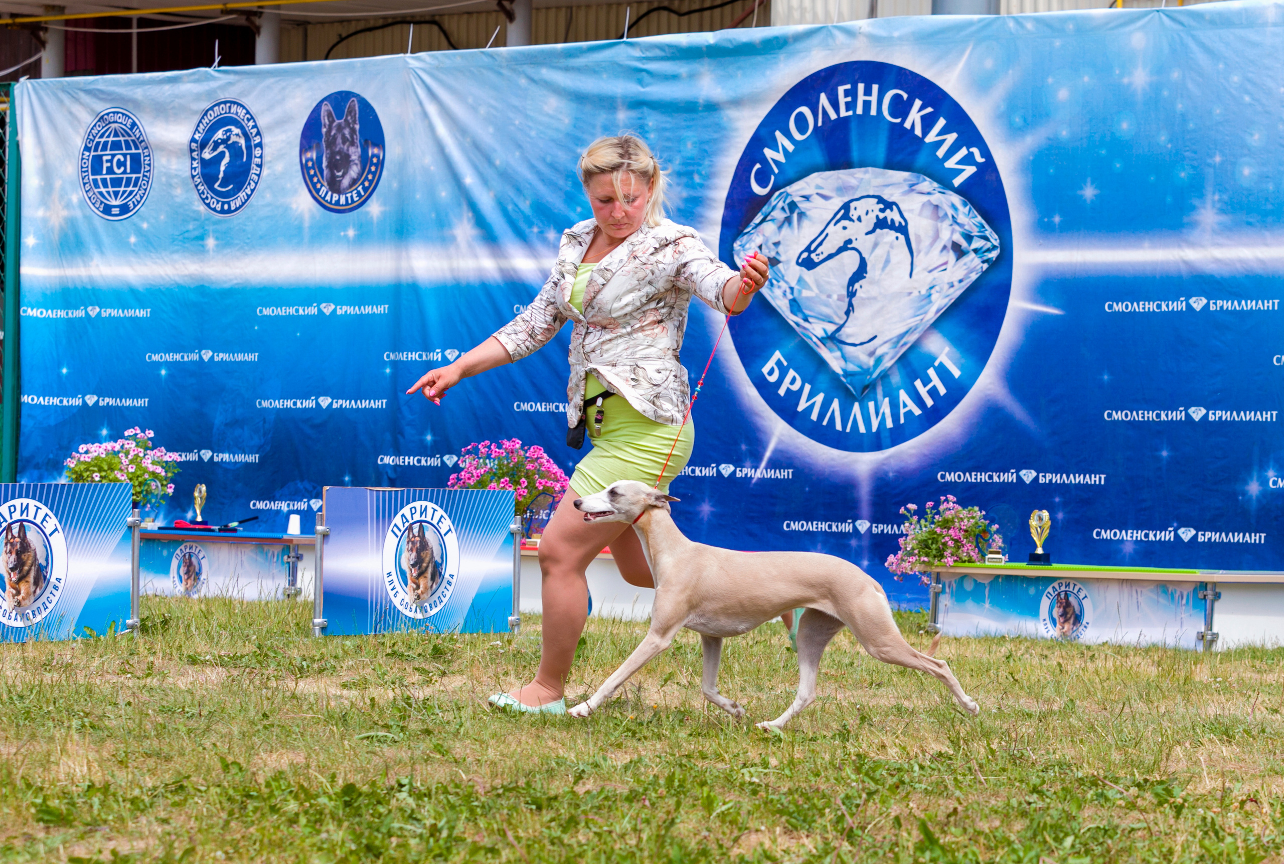 Выставки. Фотограф — анималист Татьяна Ли