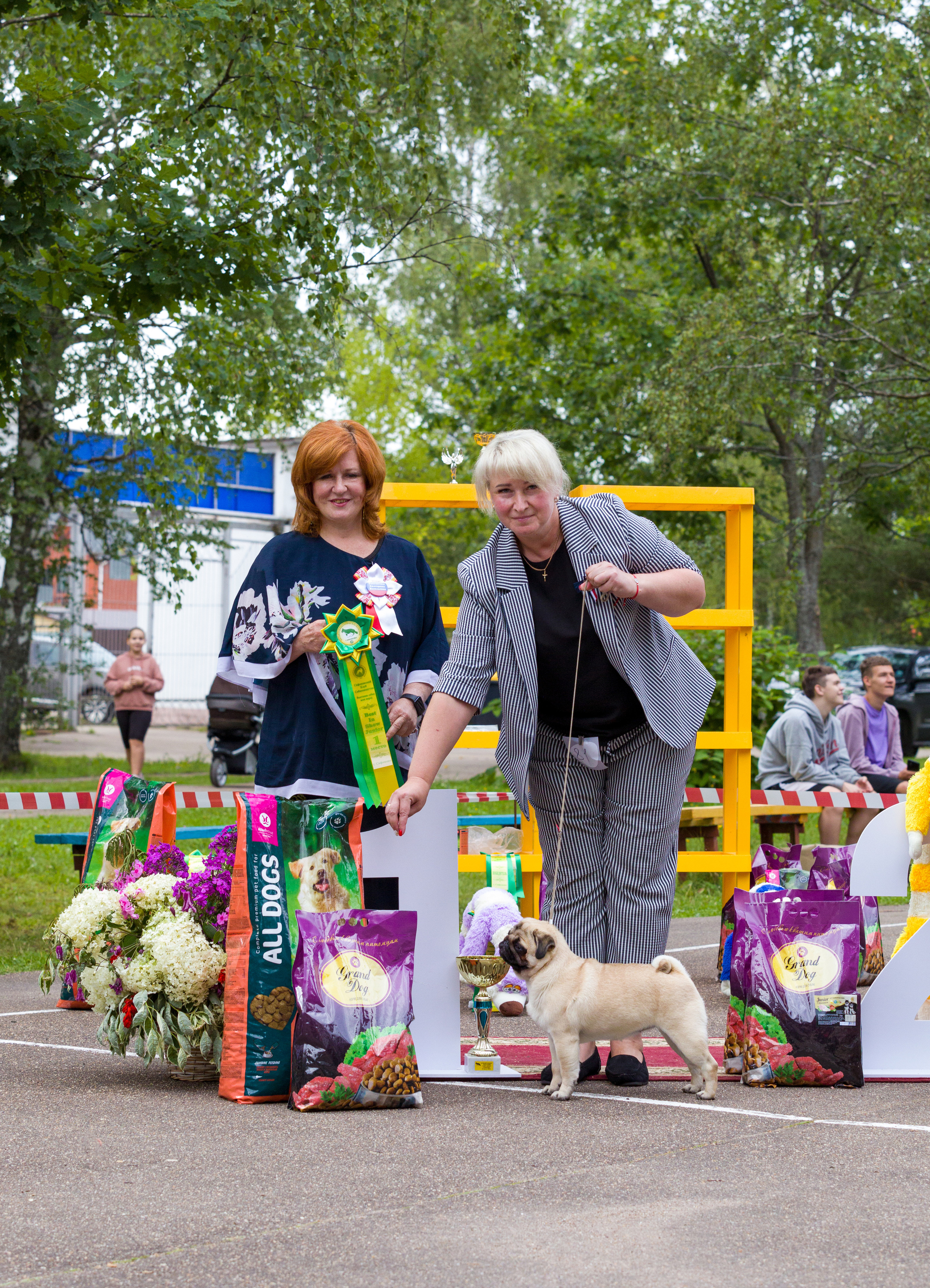 Выставки. Фотограф — анималист Татьяна Ли