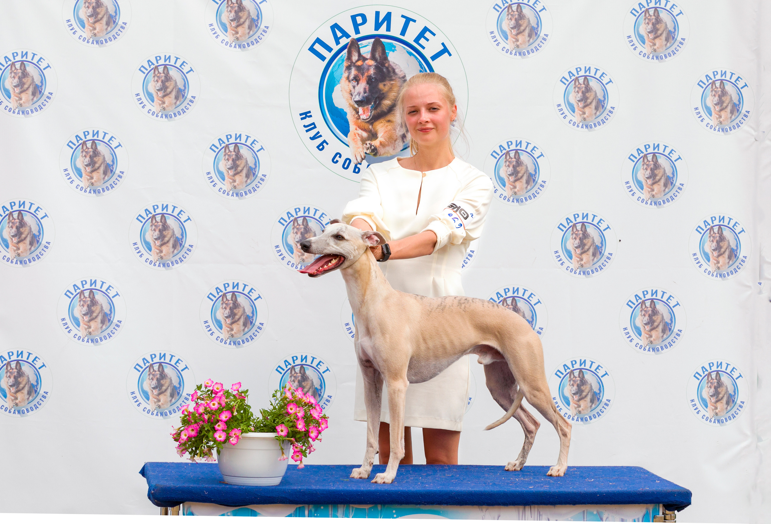 Выставки. Фотограф — анималист Татьяна Ли