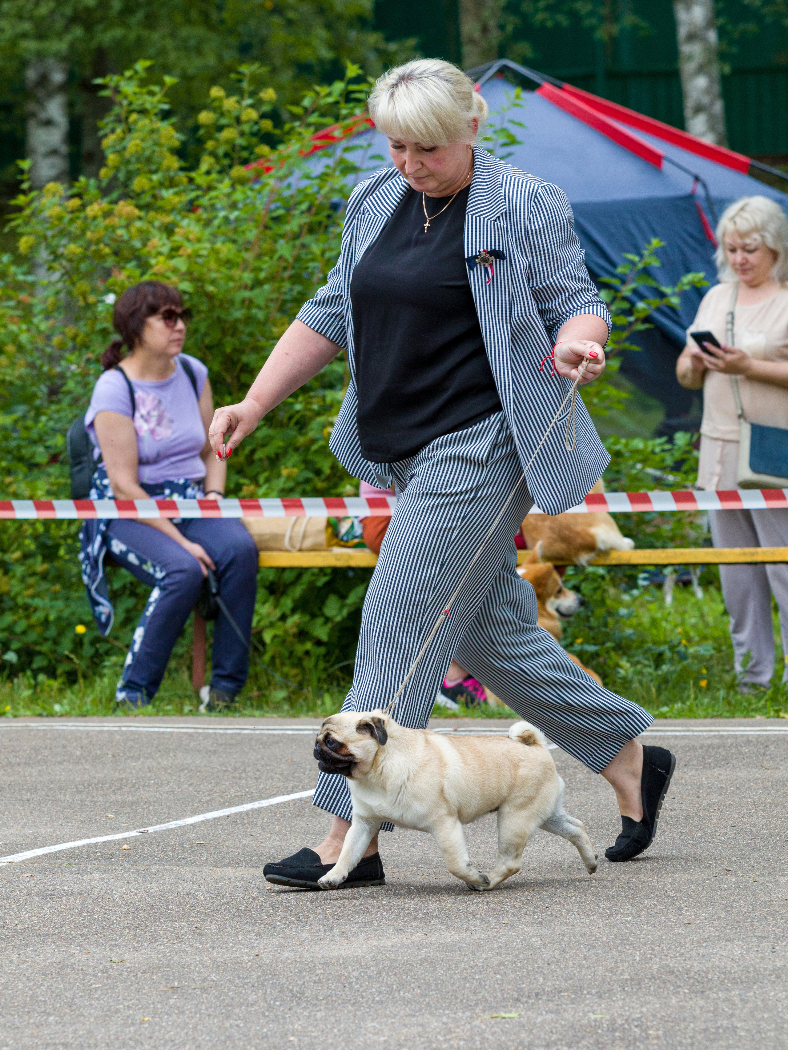 Выставки. Фотограф — анималист Татьяна Ли