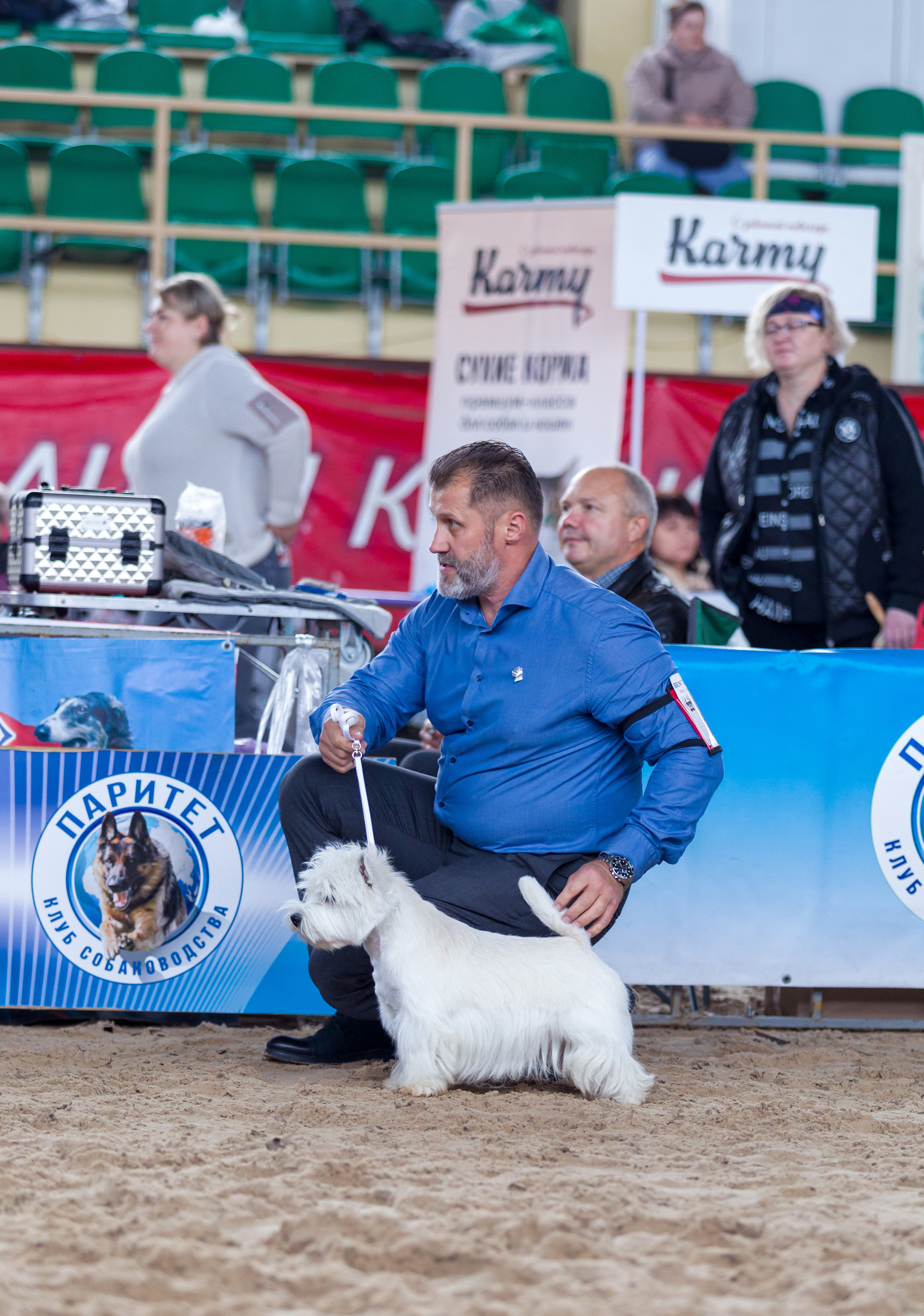 Выставки. Фотограф — анималист Татьяна Ли