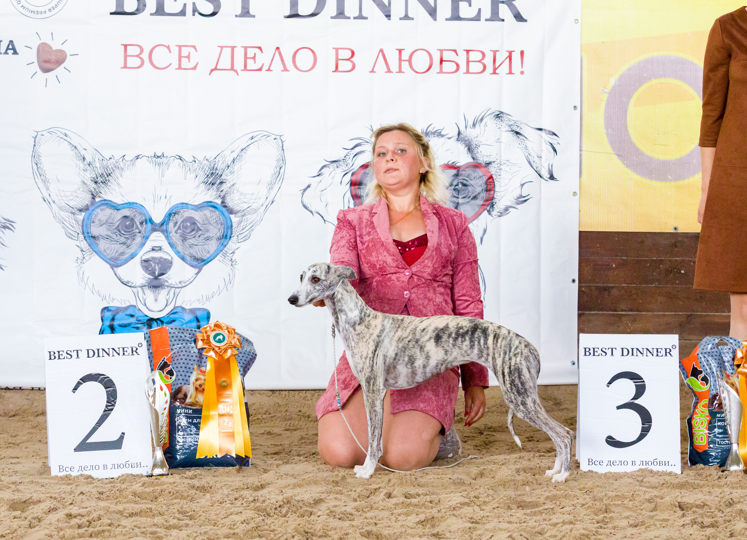 Выставки. Фотограф — анималист Татьяна Ли