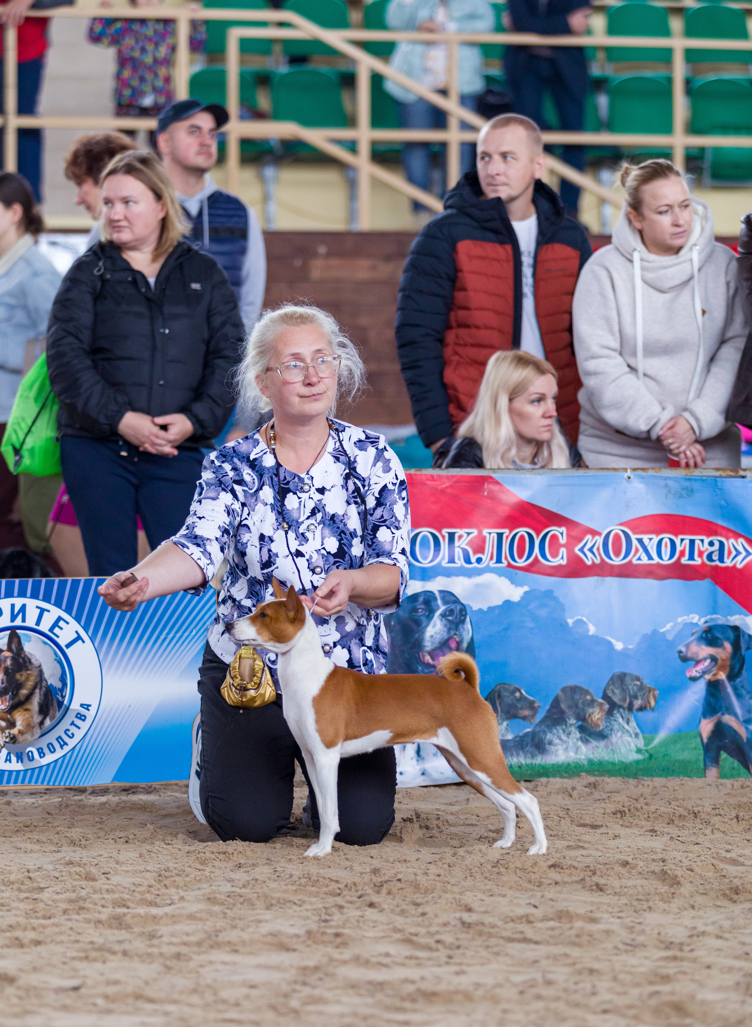 Выставки. Фотограф — анималист Татьяна Ли