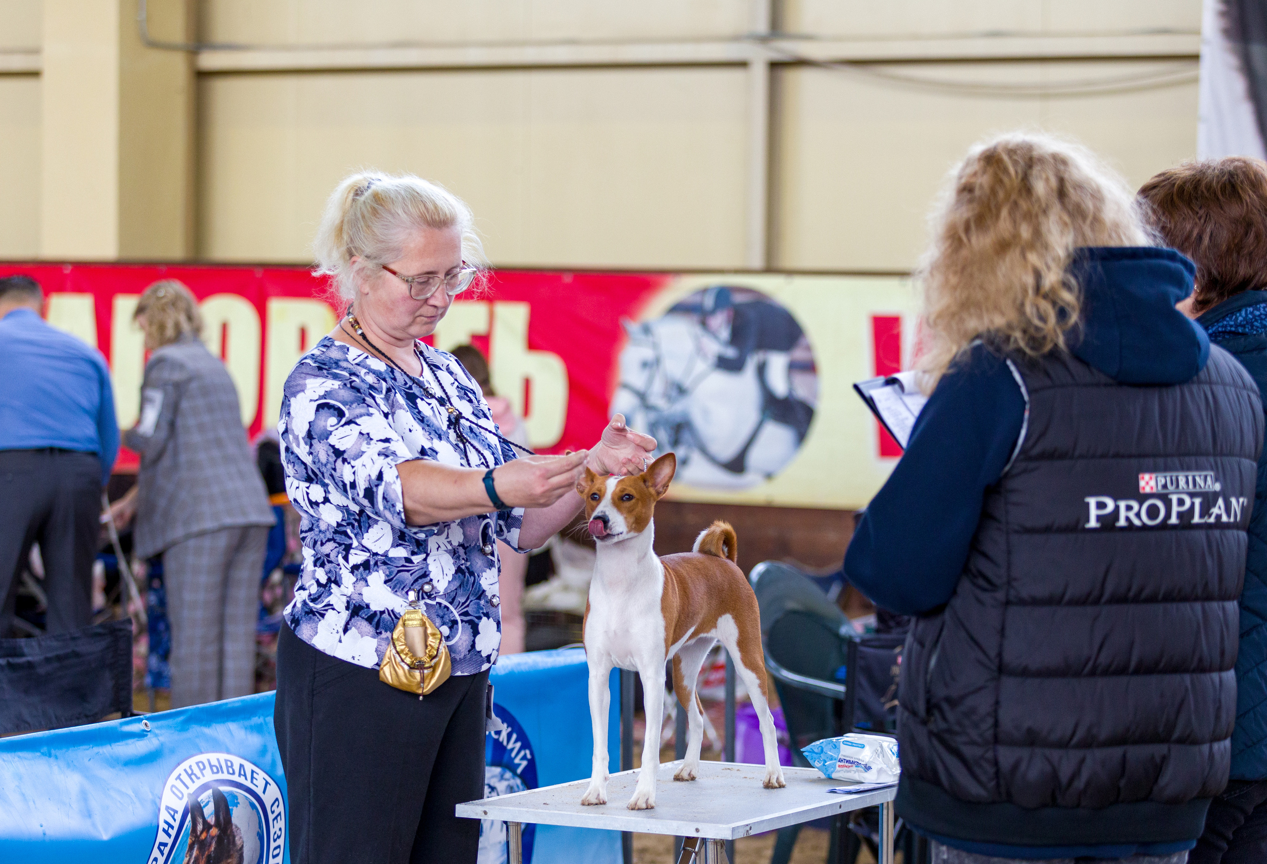 Выставки. Фотограф — анималист Татьяна Ли