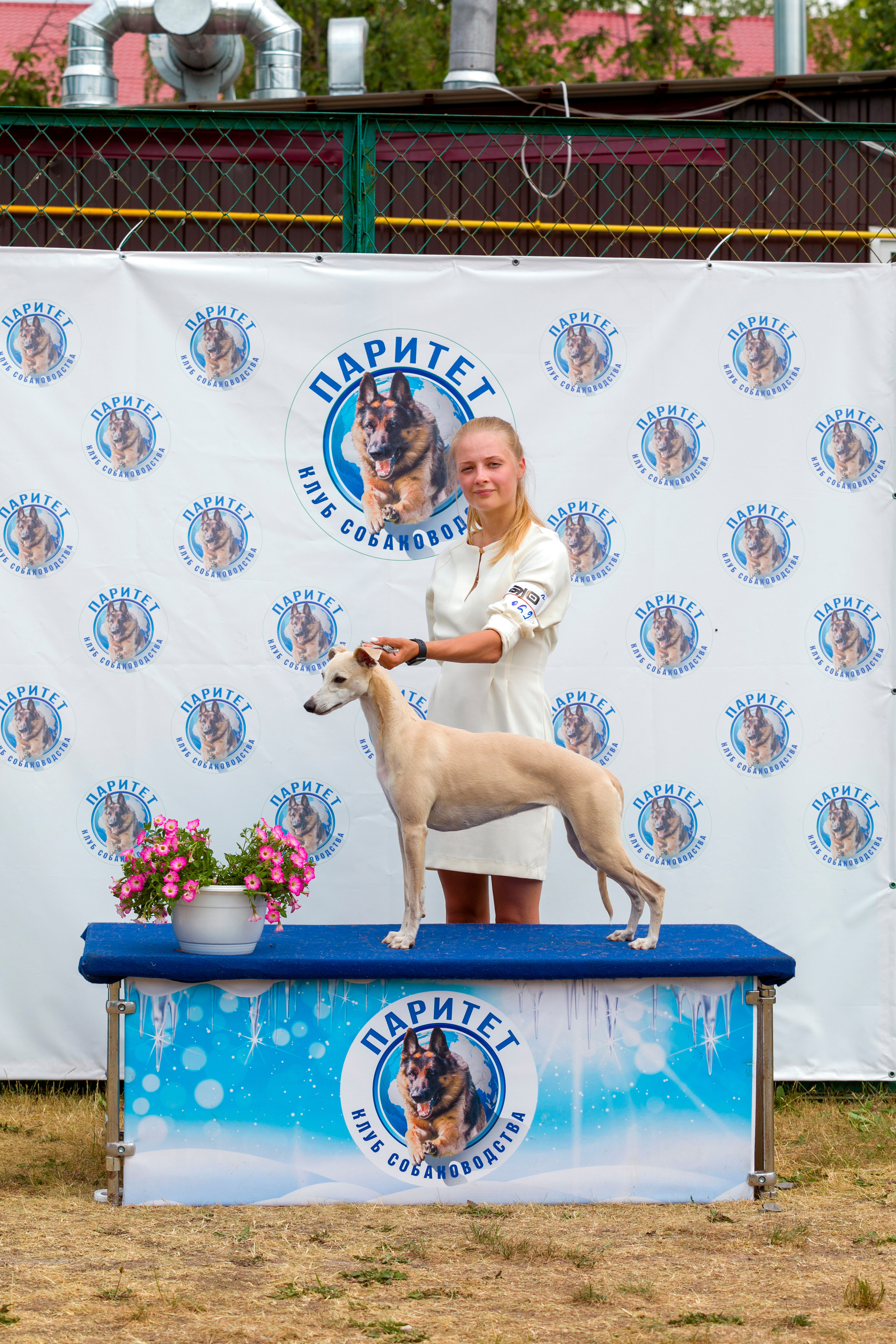 Выставки. Фотограф — анималист Татьяна Ли