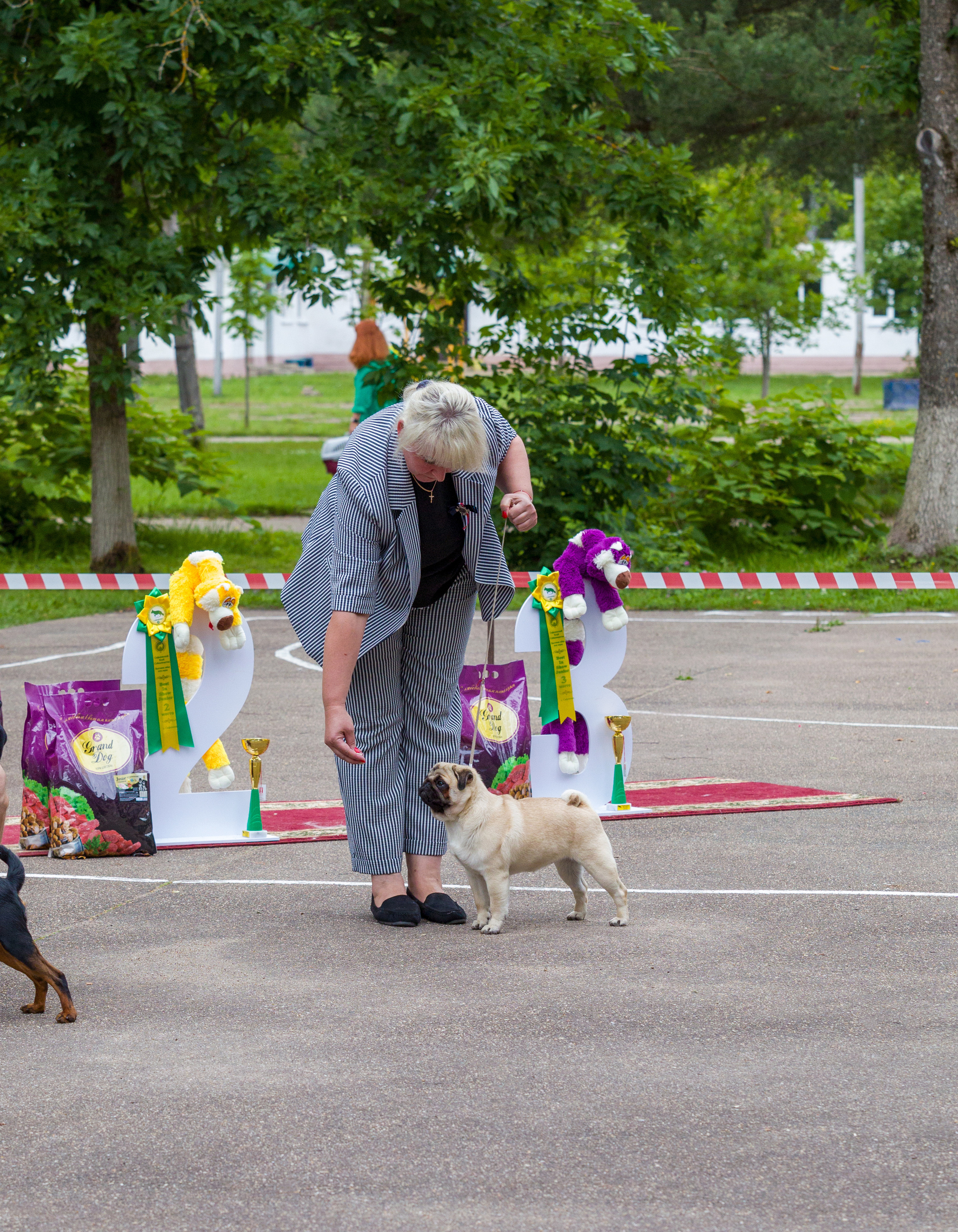 Выставки. Фотограф — анималист Татьяна Ли