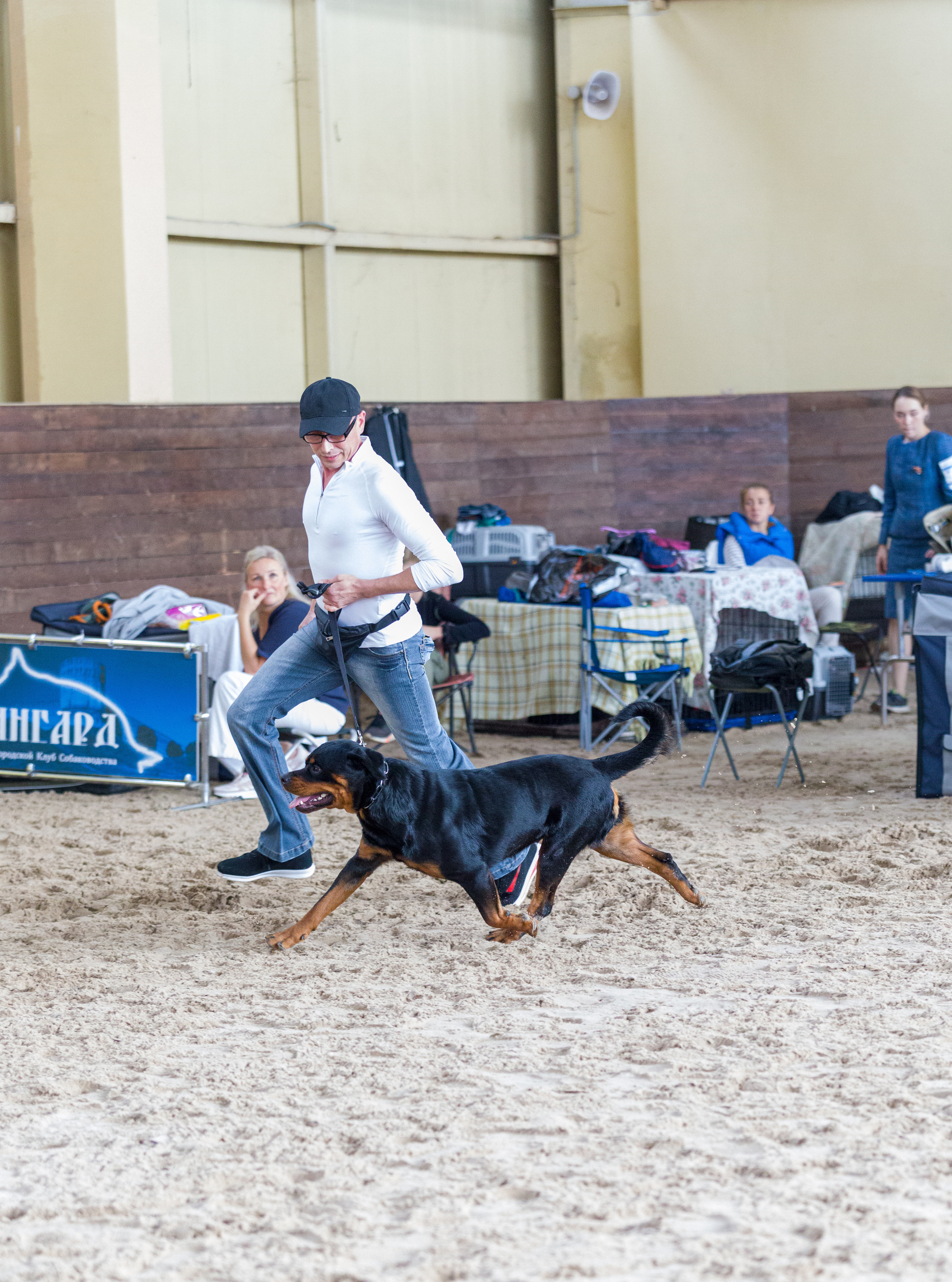 Выставки. Фотограф — анималист Татьяна Ли