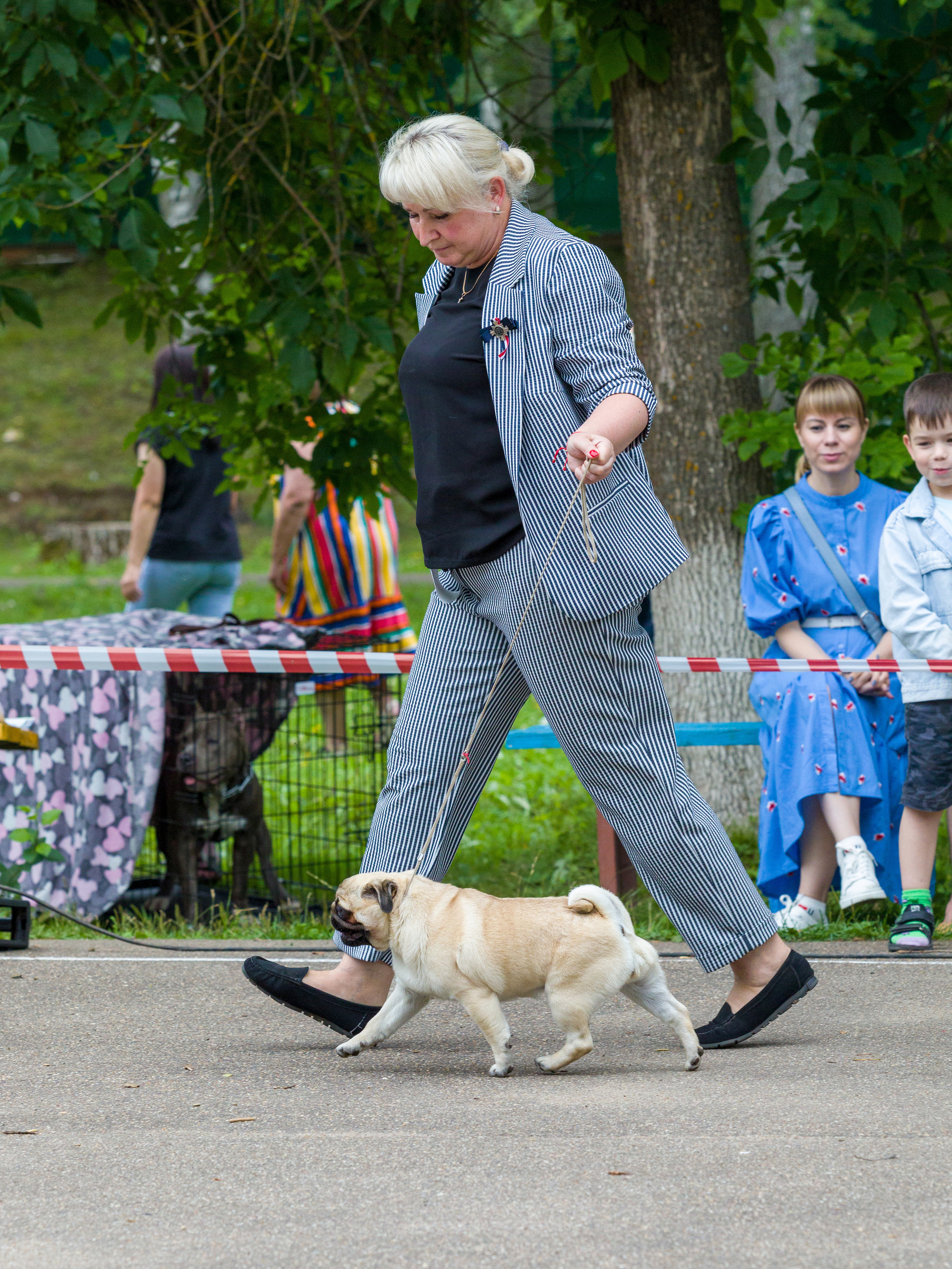 Выставки. Фотограф — анималист Татьяна Ли