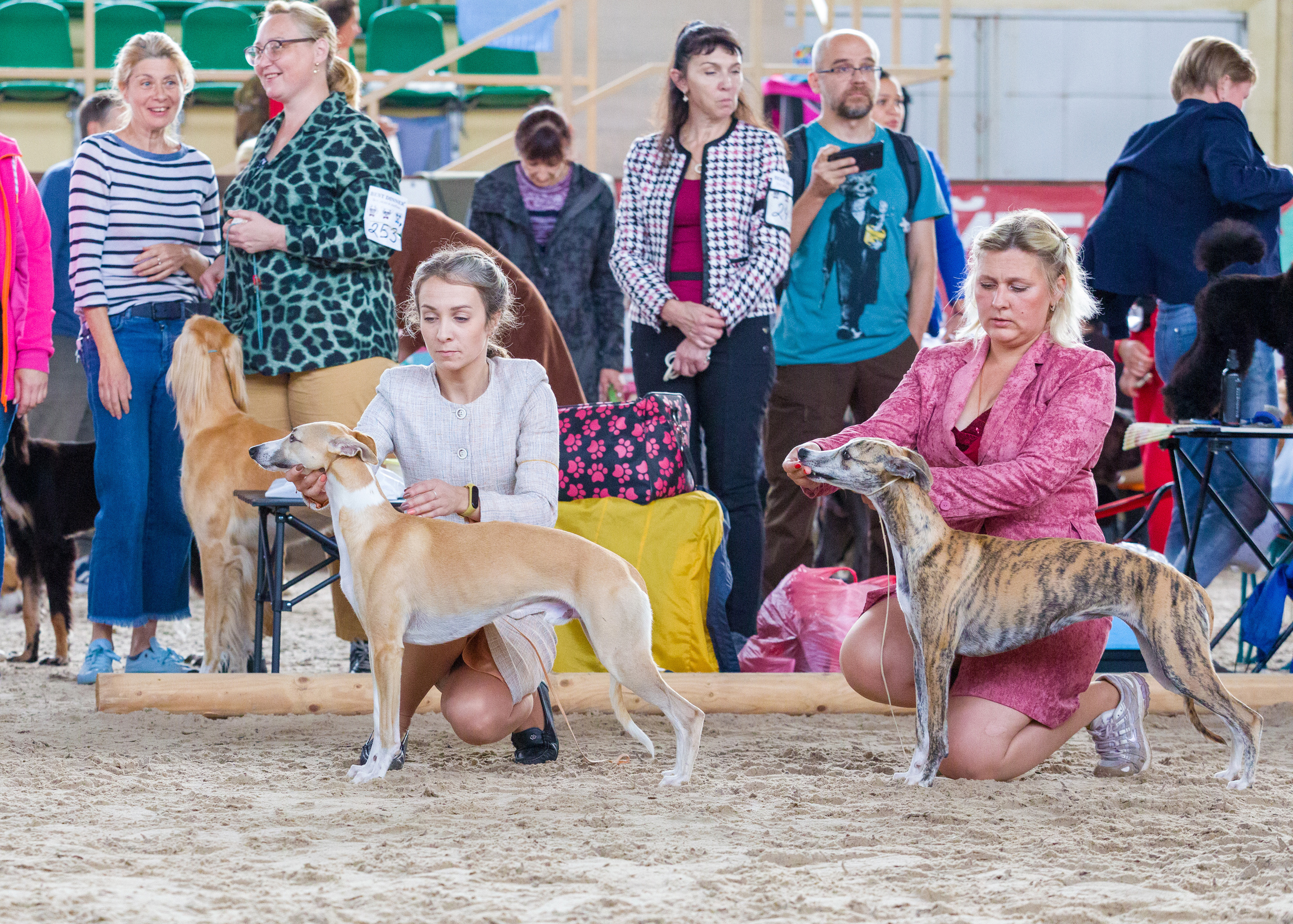 Выставки. Фотограф — анималист Татьяна Ли
