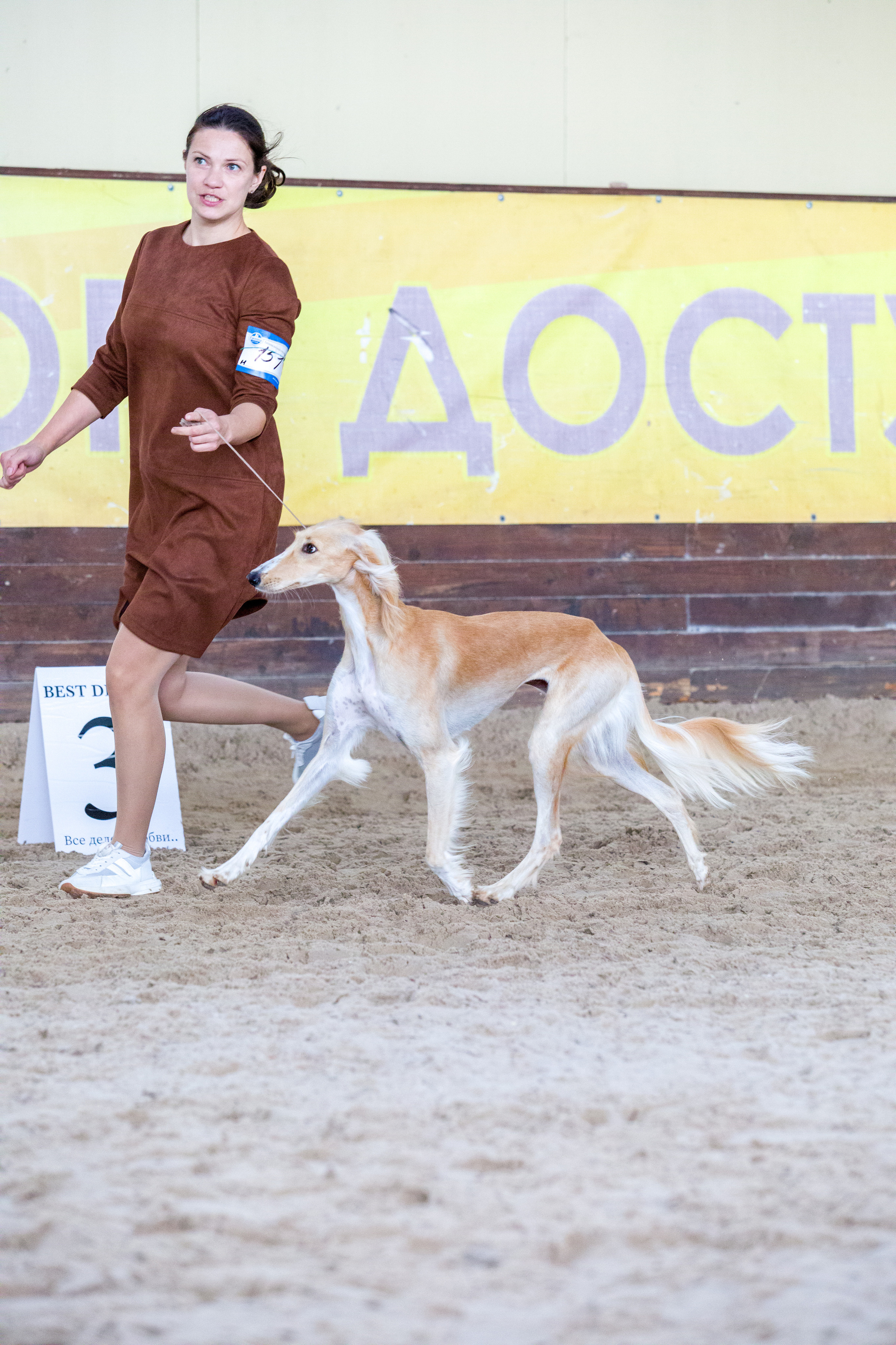 Выставки. Фотограф — анималист Татьяна Ли