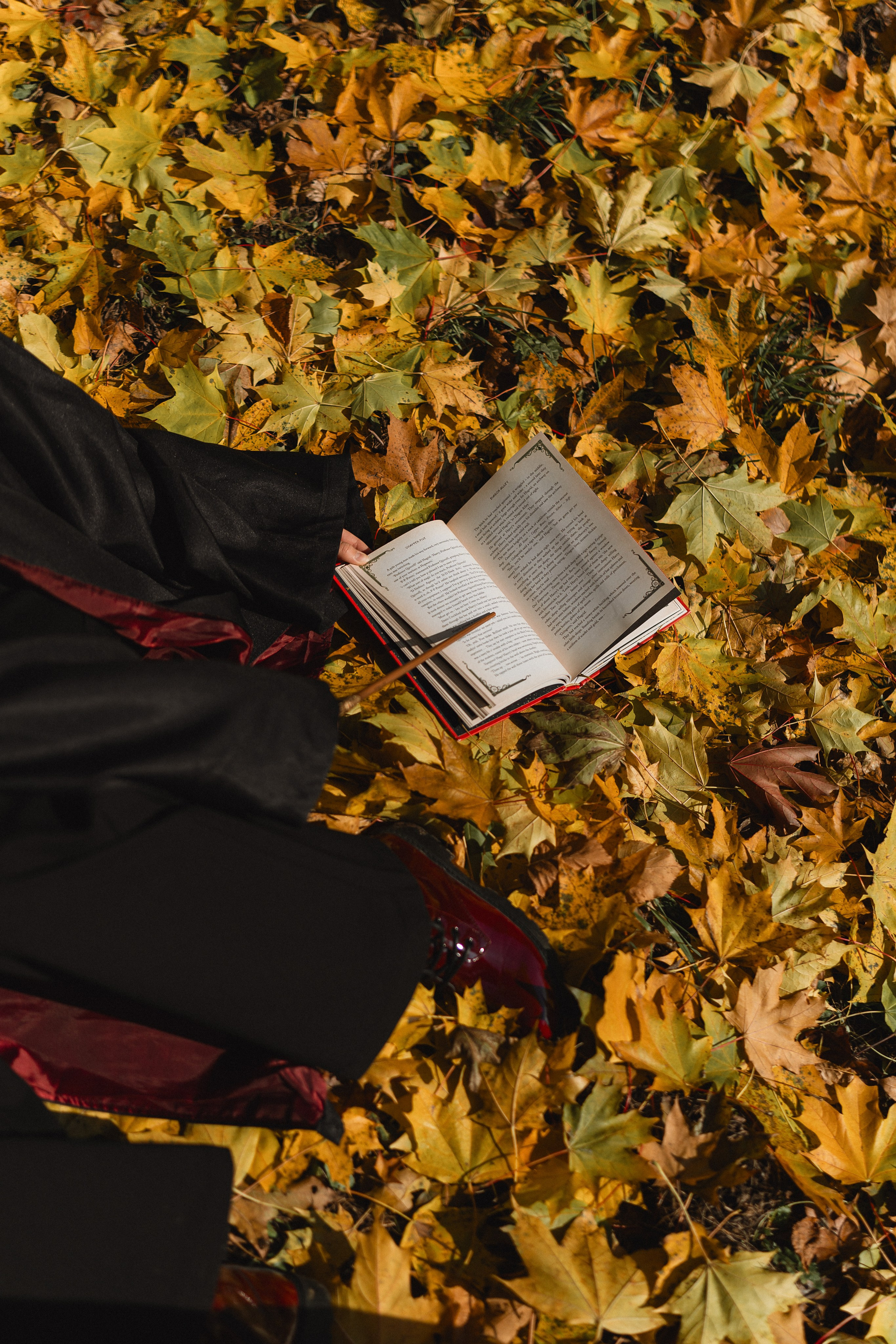 Стиль «Гарри Поттер». Фотограф Москва. Екатерина Дударевич