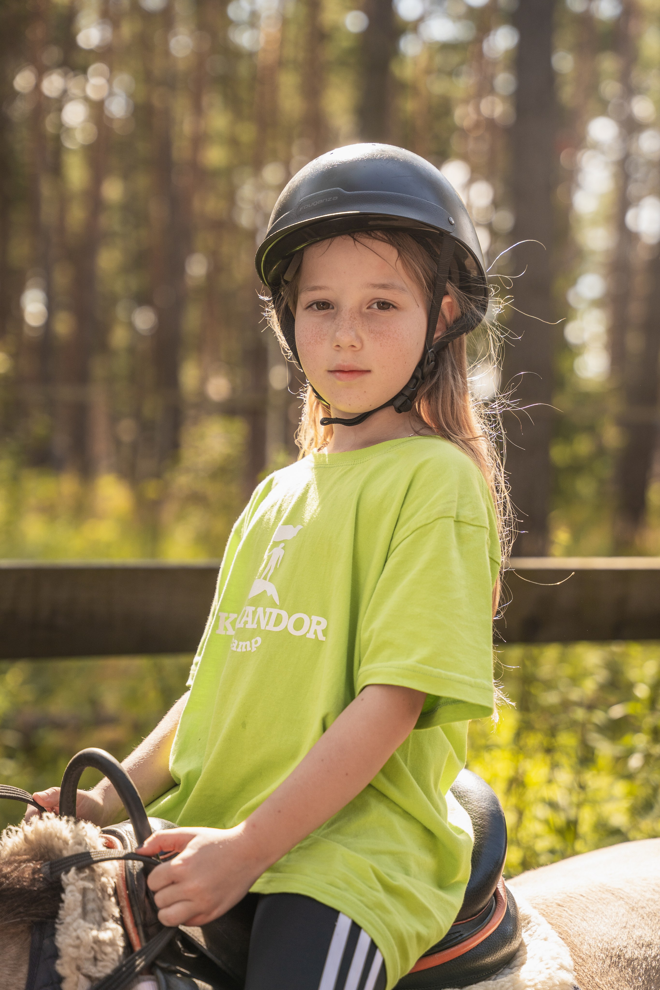 Конное занятие. Главная