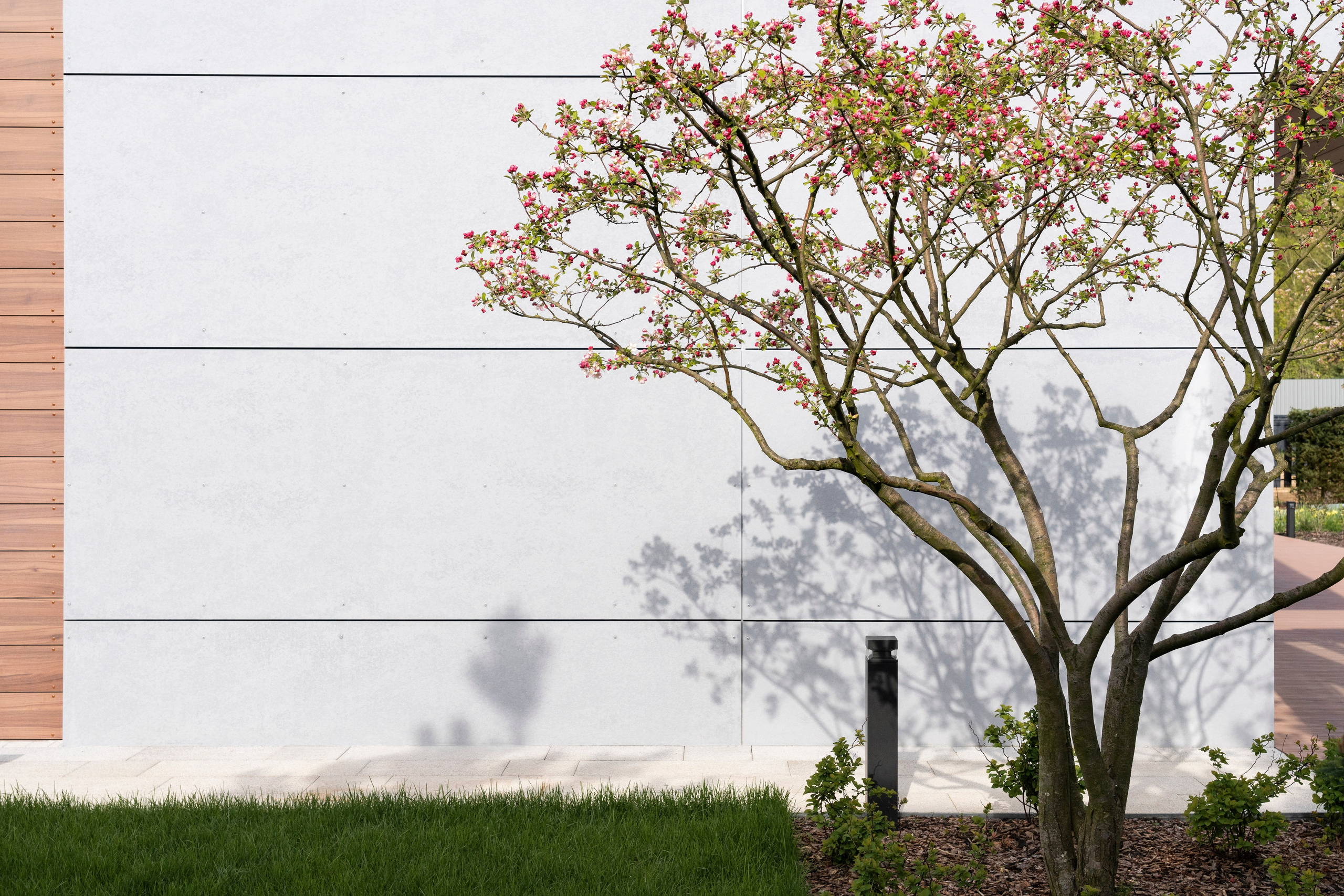 Blooming in the garden, Moscow region. Артамонов Александр | Архитектурный и ландшафтный фотограф