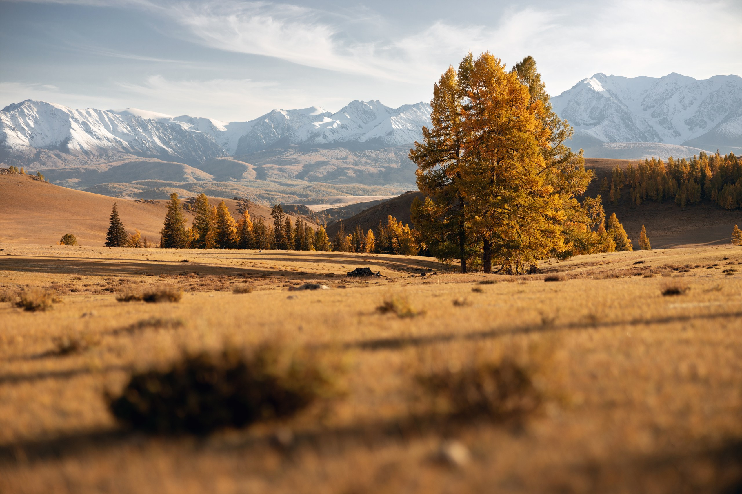 Алтай. Фотограф в Красноярске Нерозя Александр. Пейзаж, природа, портрет