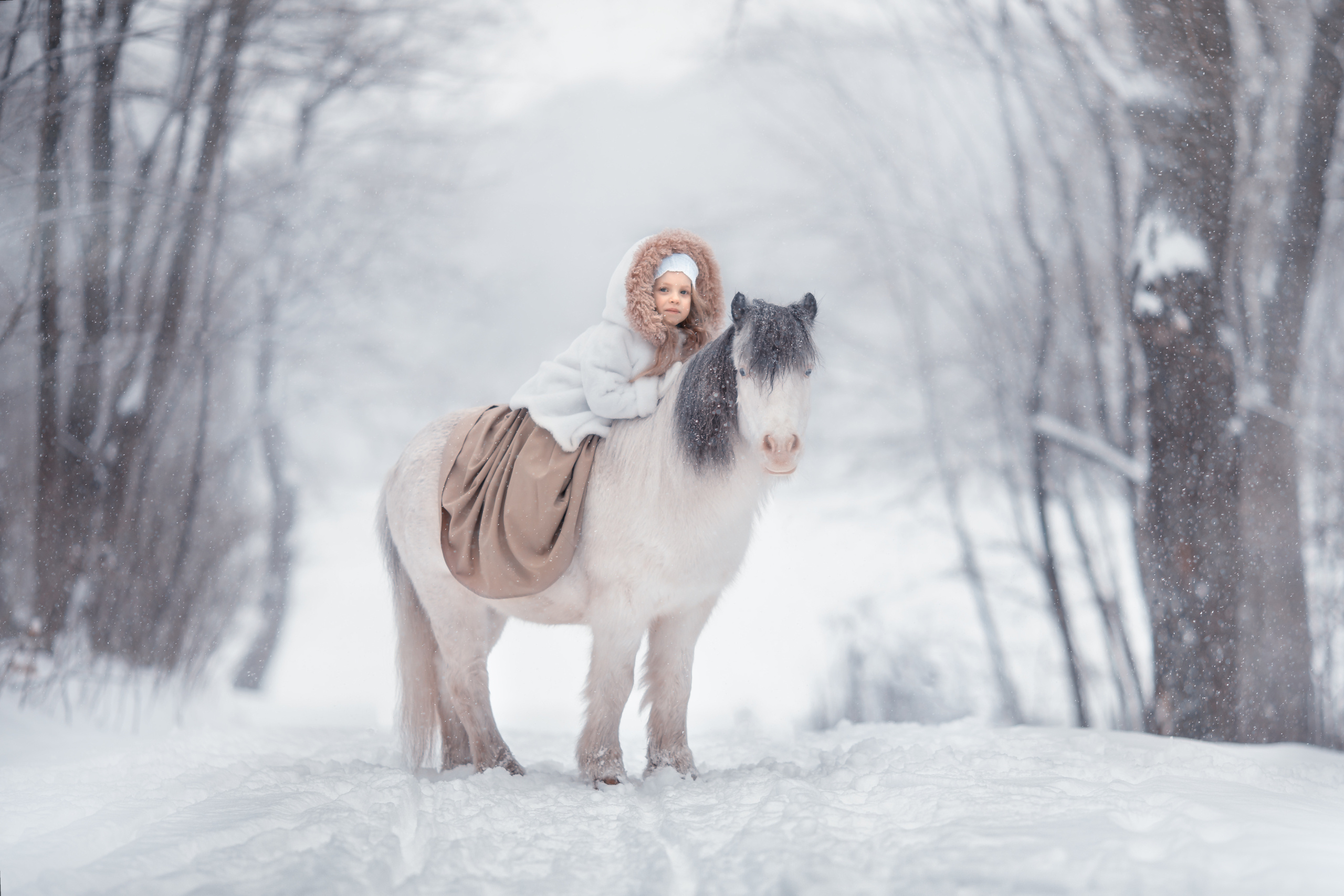 Детская фотосъемка в Нижнем новгороде. Arma Gray — Нижний Новгород