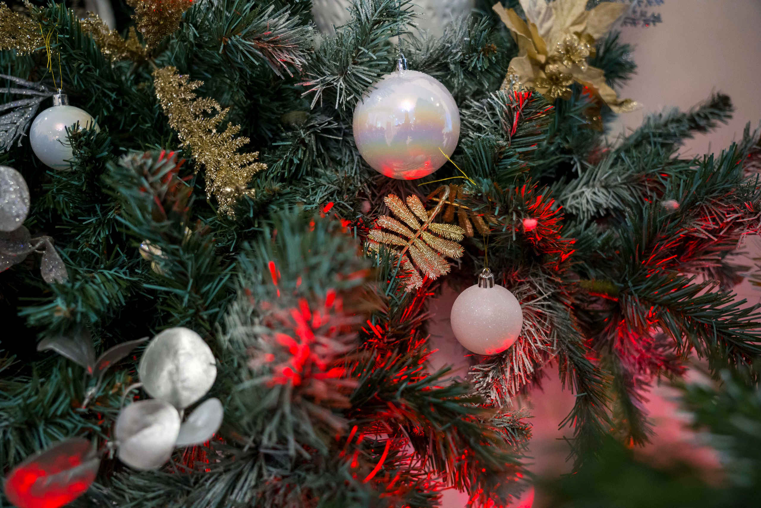 Корпоратив фотосъемка праздника. Фотограф в Санкт-Петербурге. Репортажная и все съёмки для бизнеса