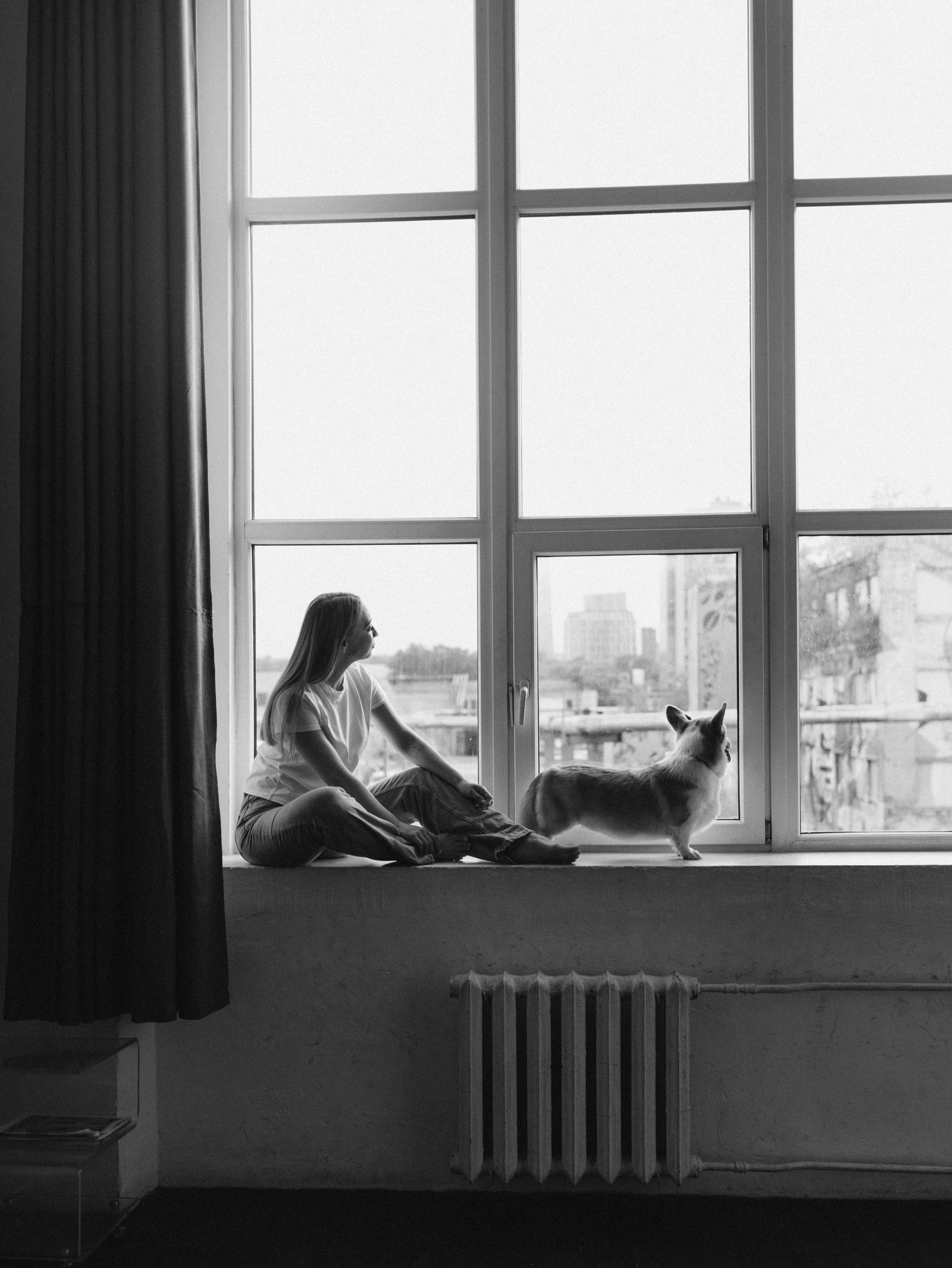 Оливка и Ника. Фотограф-анималист в Москве Кириллова Татьяна