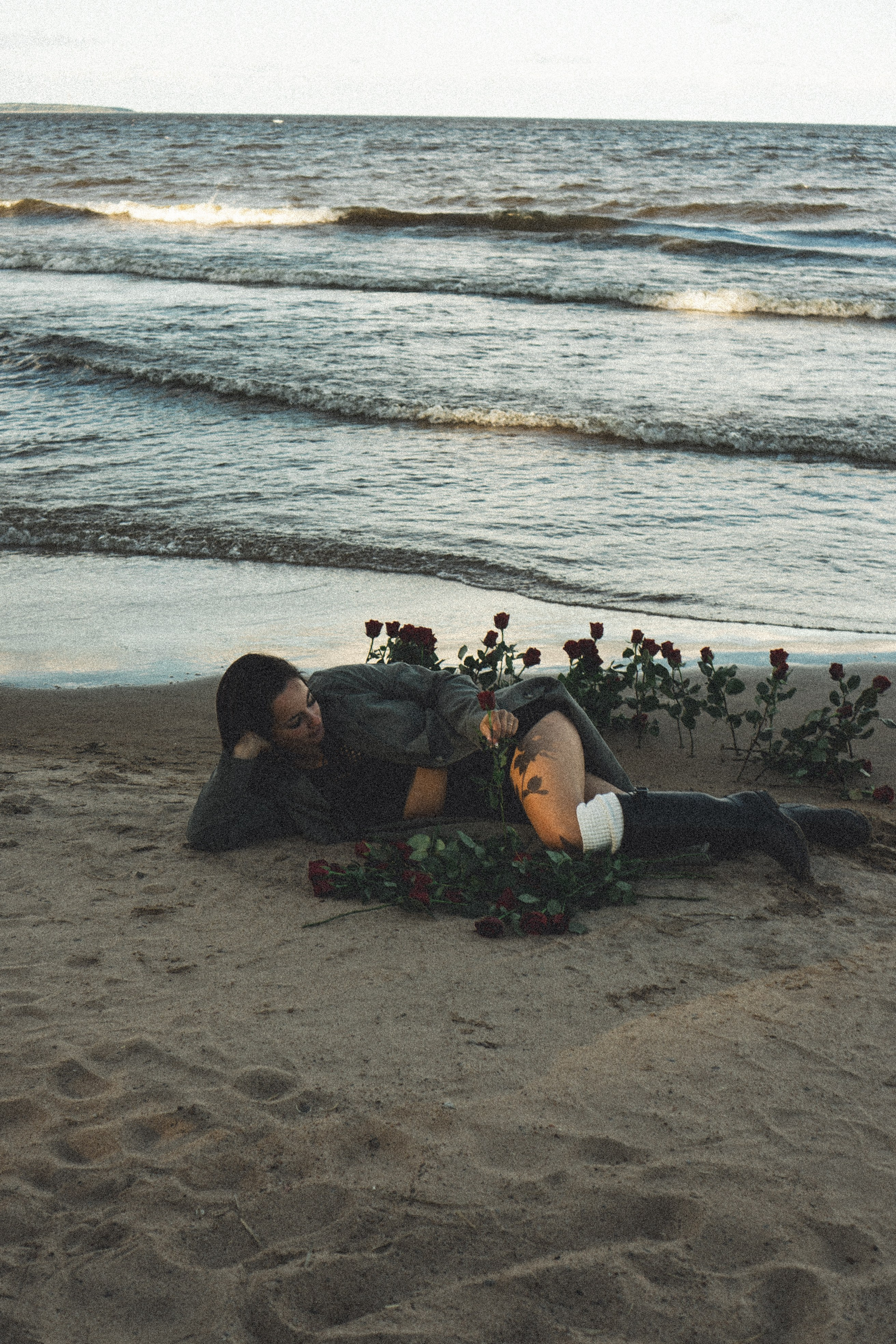 Розы. Профессиональный фотограф, Санкт-Петербург — Виктория Богомолова