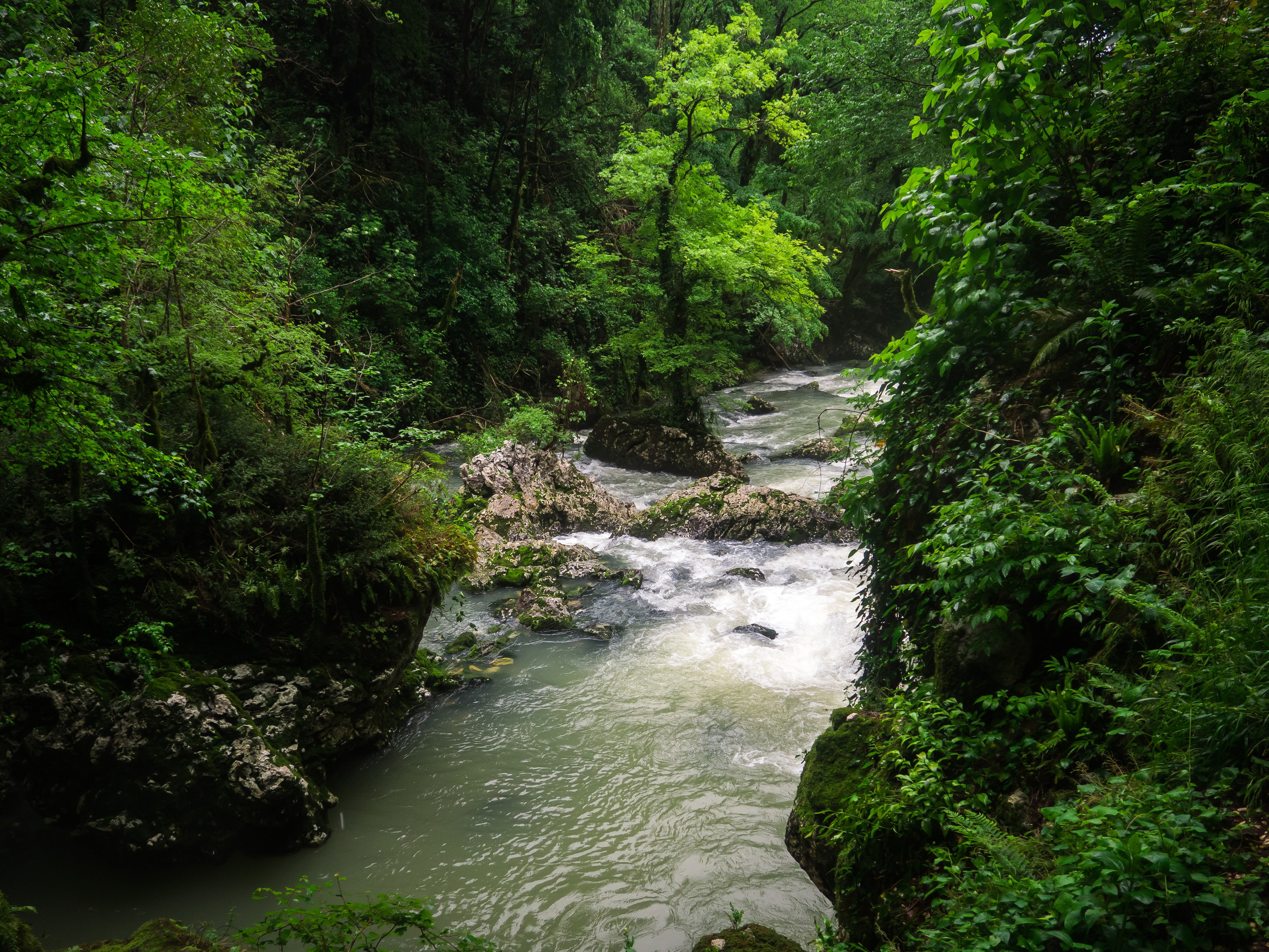 Природа. Фотограф и оператор Роман Фадеев в Екатеринбурге