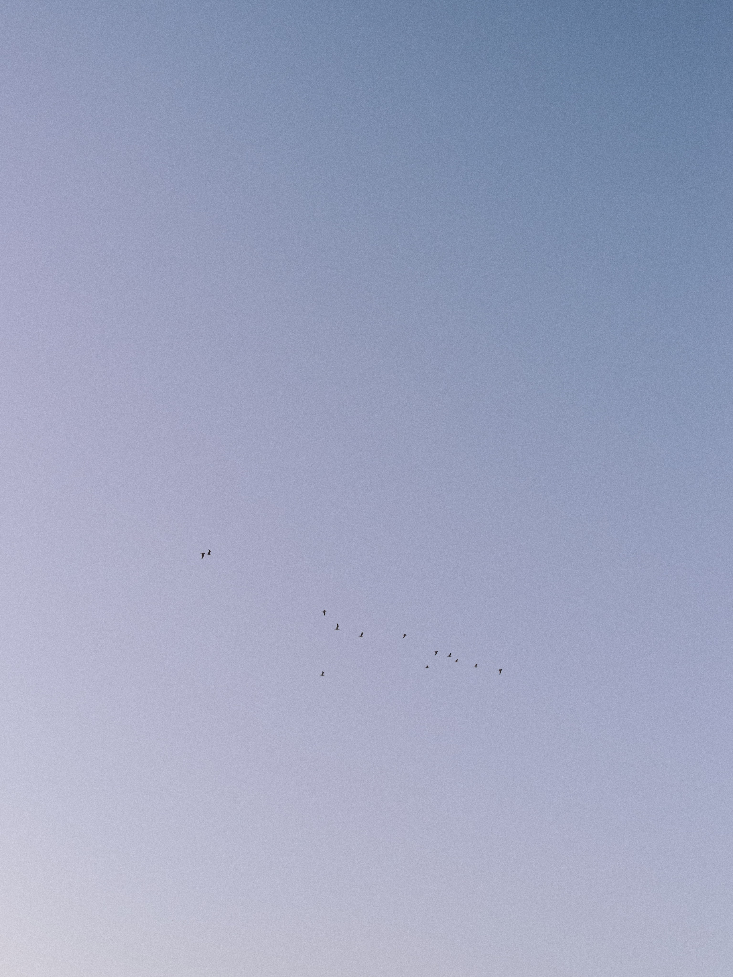 Природа. Jorgis Talè — photographer, kind person, teacher of arts and other mag