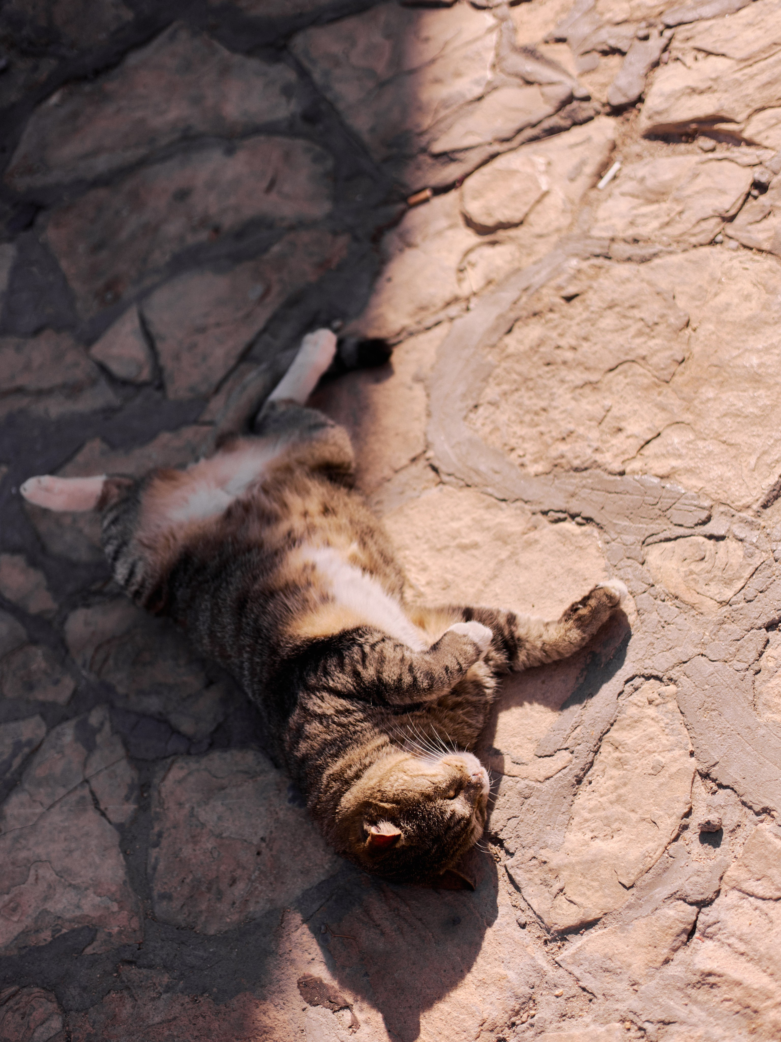 Другое 3. Jorgis — фотограф в Хургаде / обучение фотографии