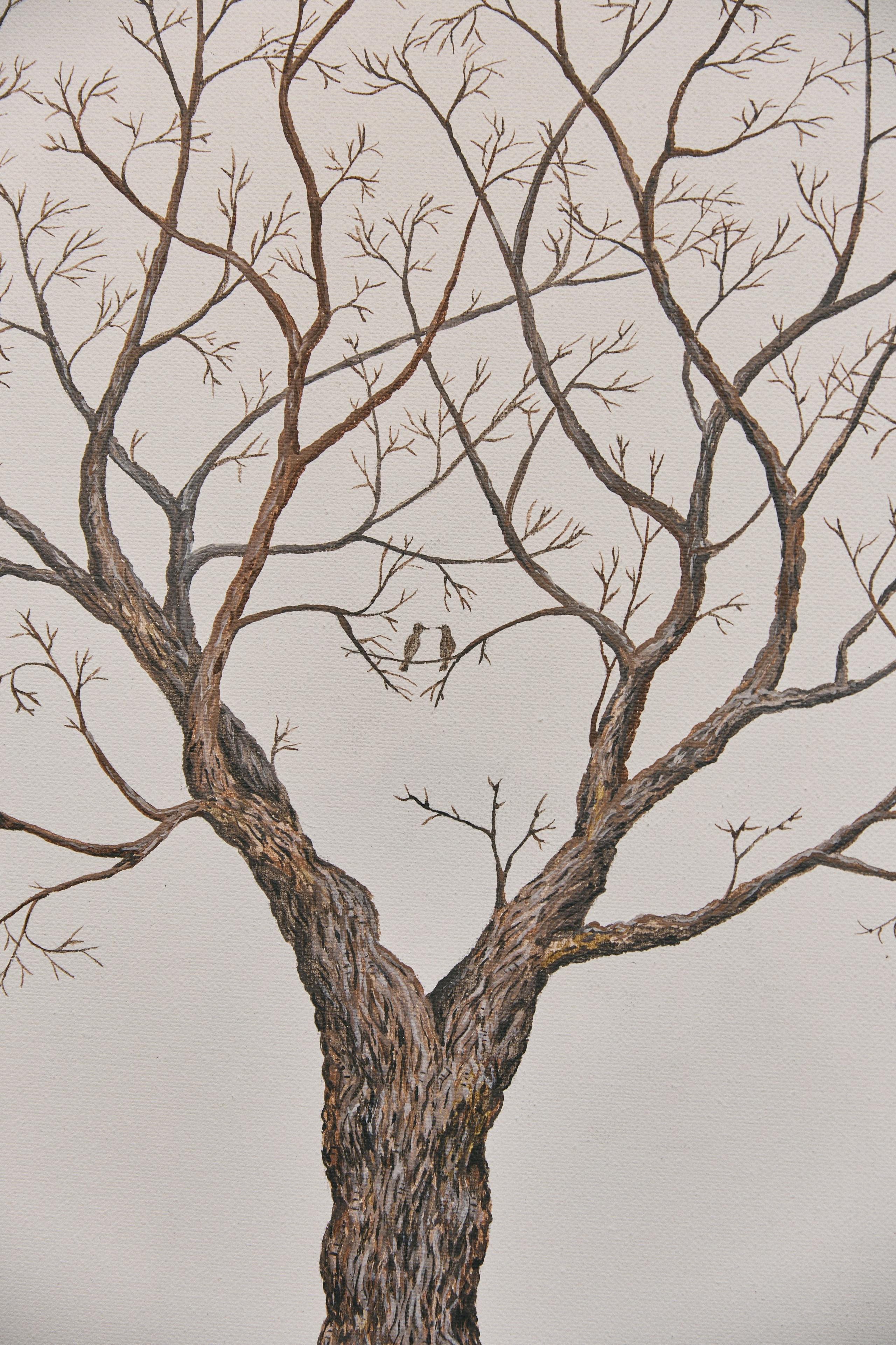 Максим и Анна. Фотограф Диана Хасанова, г. Казань