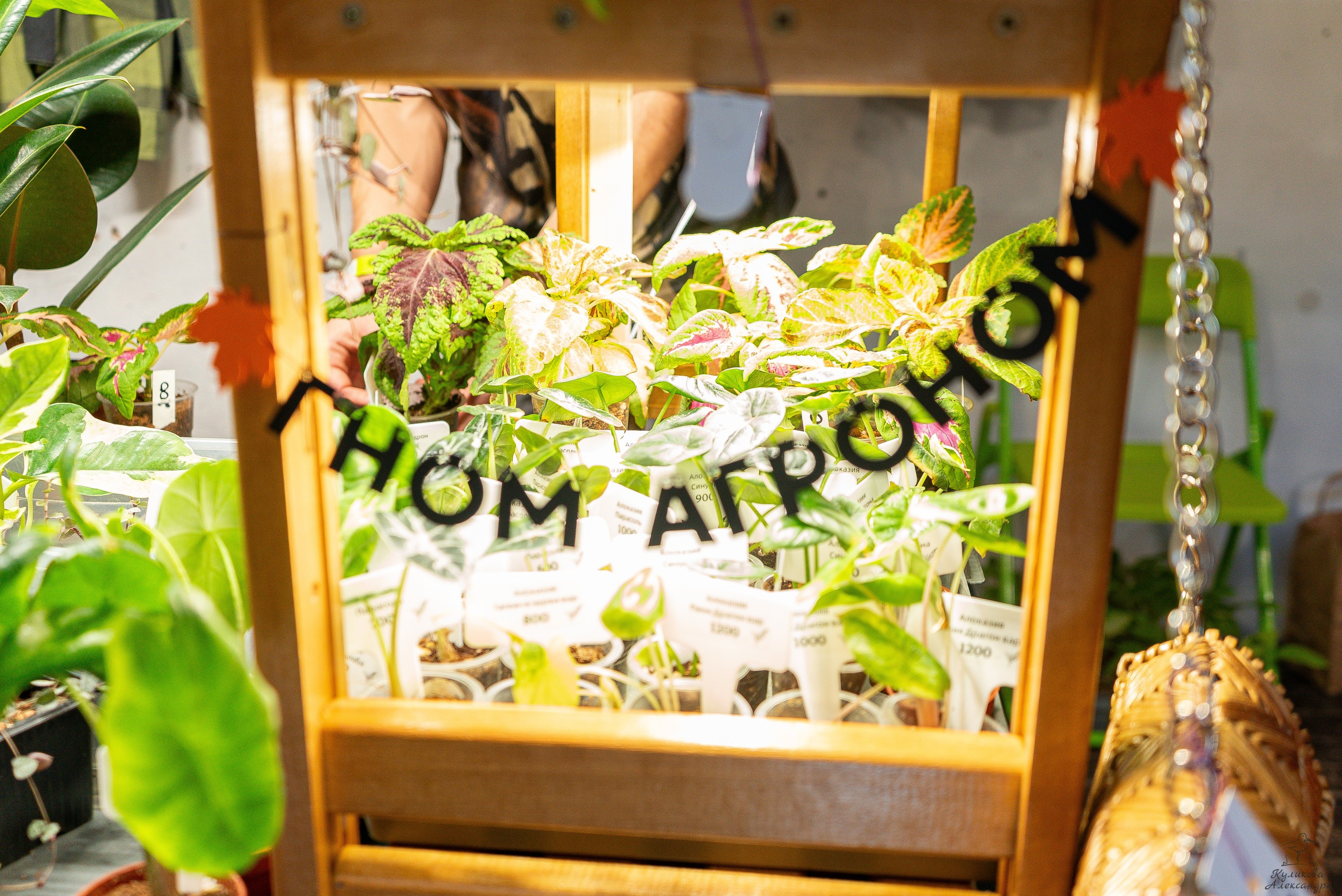 Гроубокс Артплей апрель. Александра Куликова фотограф, Москва