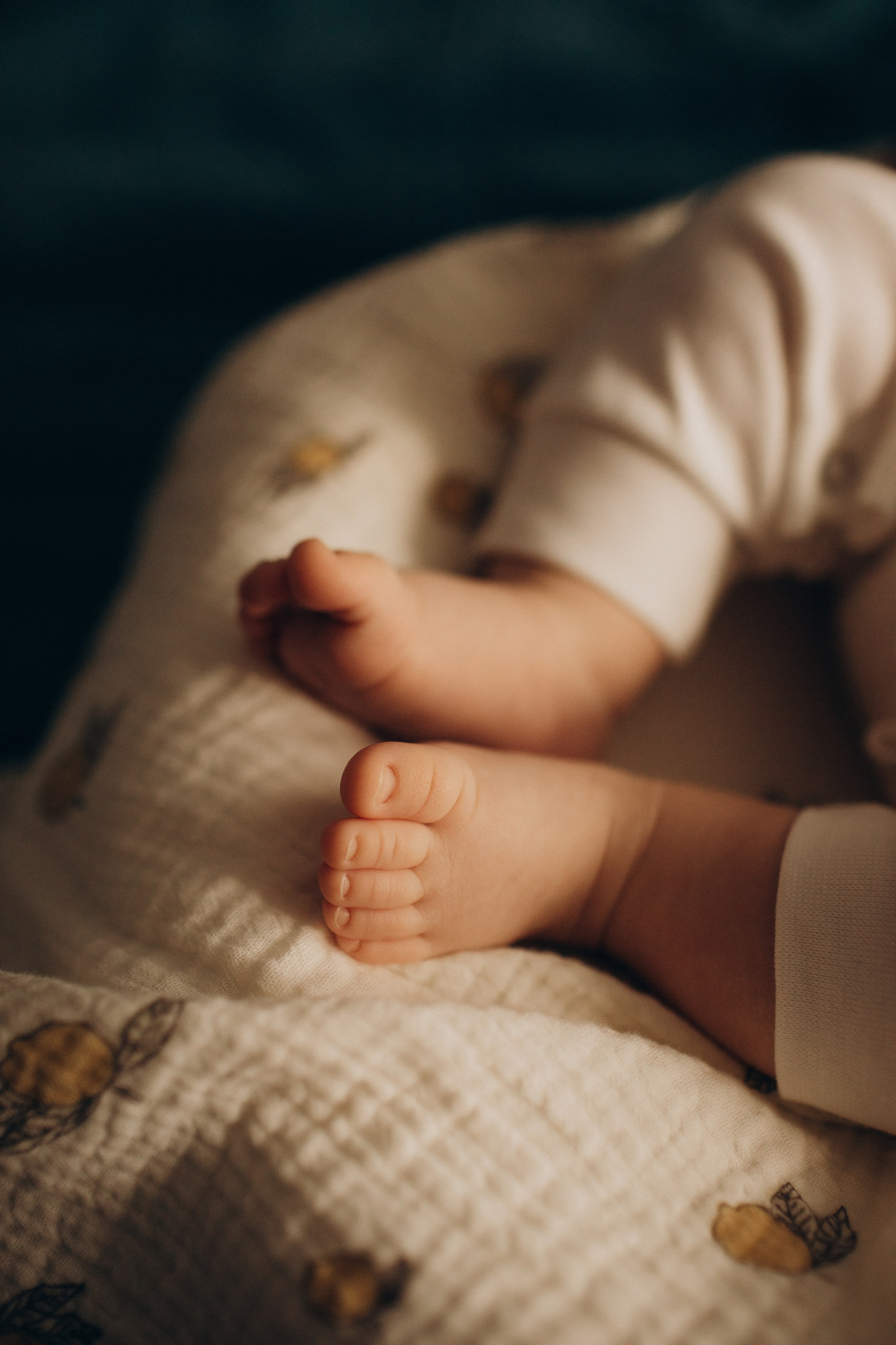 Семья Смирновых. Семейный фотограф в Челябинске Ксения Зубкова