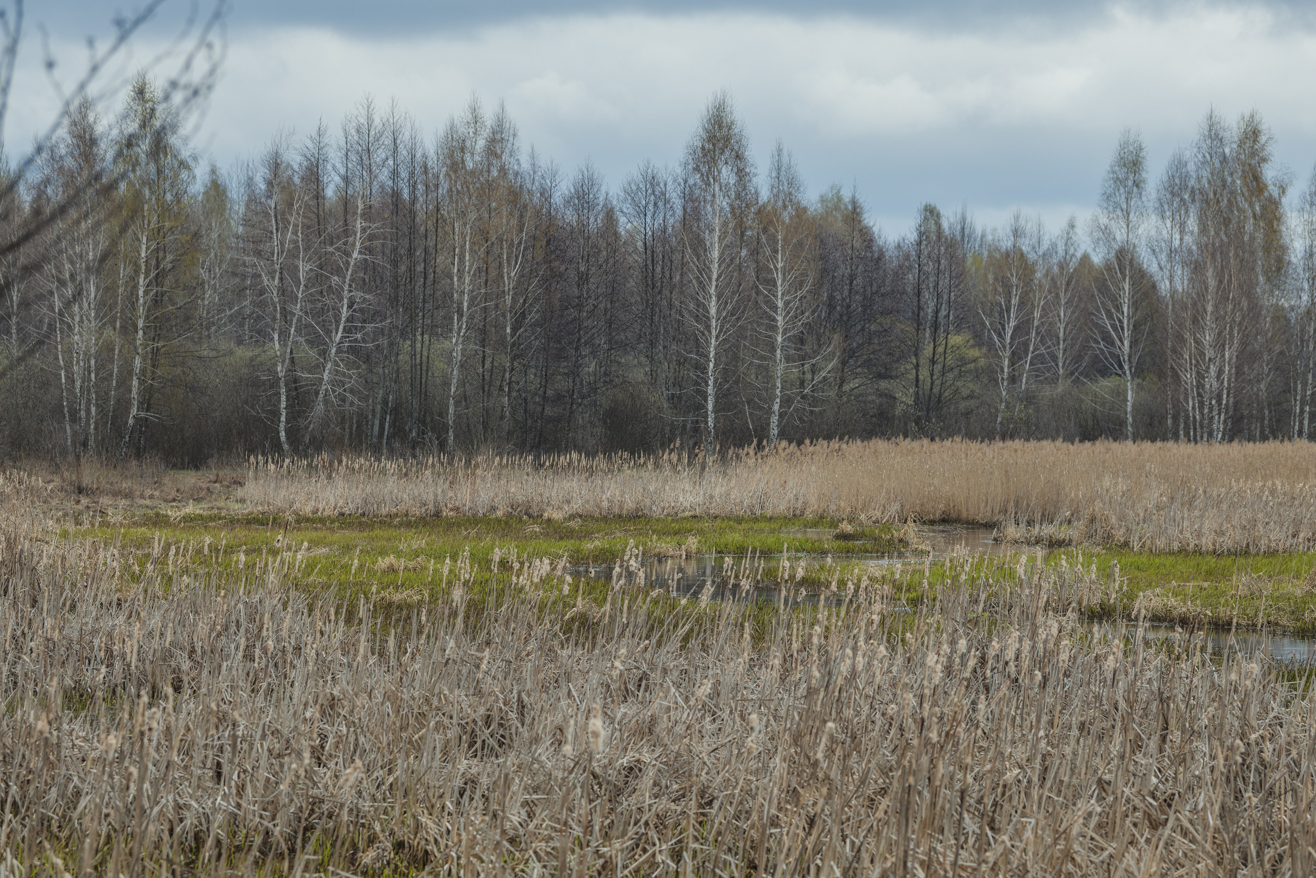 Разведка нового маршрута. Репортажный фотограф Владимир Беляй