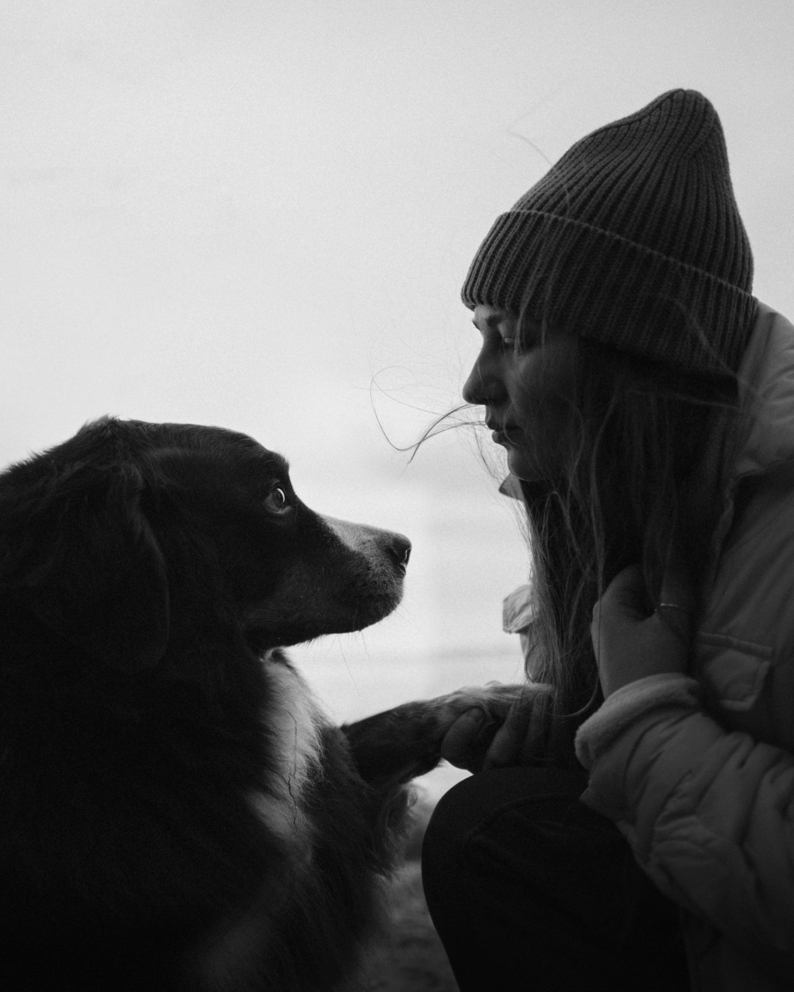 Прогулка: берн Пума, Фрэнк и Юля в Питере. Портфолио