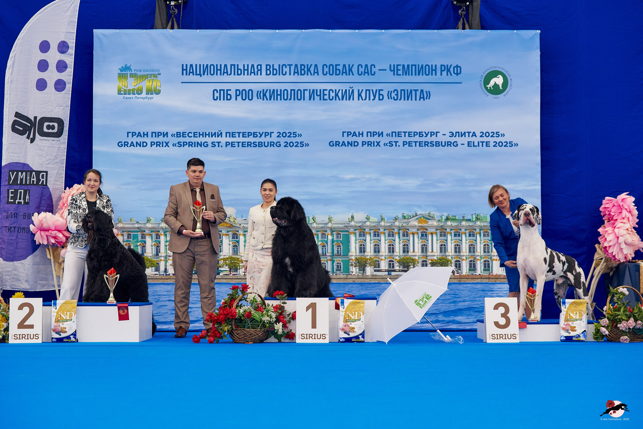 27.04.2025 | "Петербург-Элита 2025" & «КУБОК «ЭЛИТЫ»-2025»