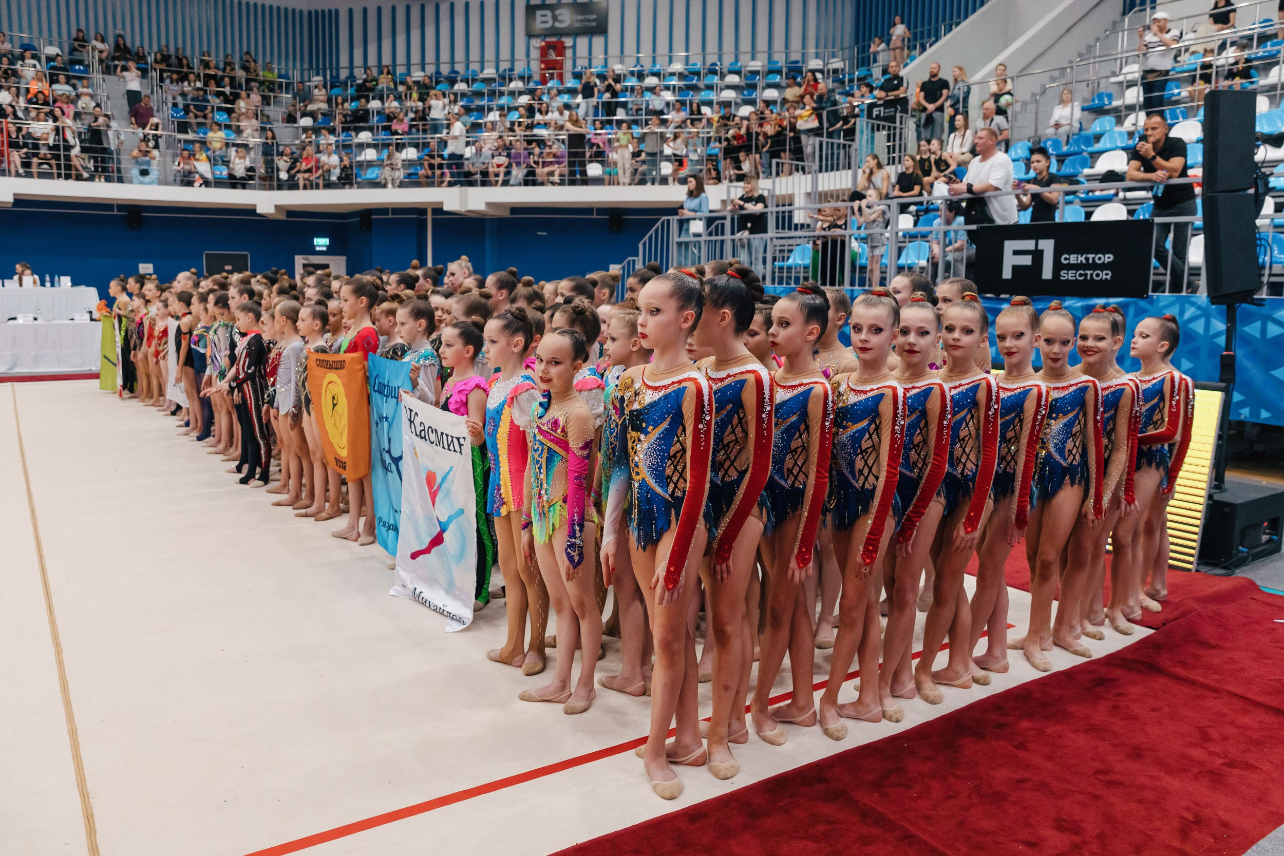 Кубок «Роксэт». Тула. Спортивный фотограф Александр Васильев. RG и AGG