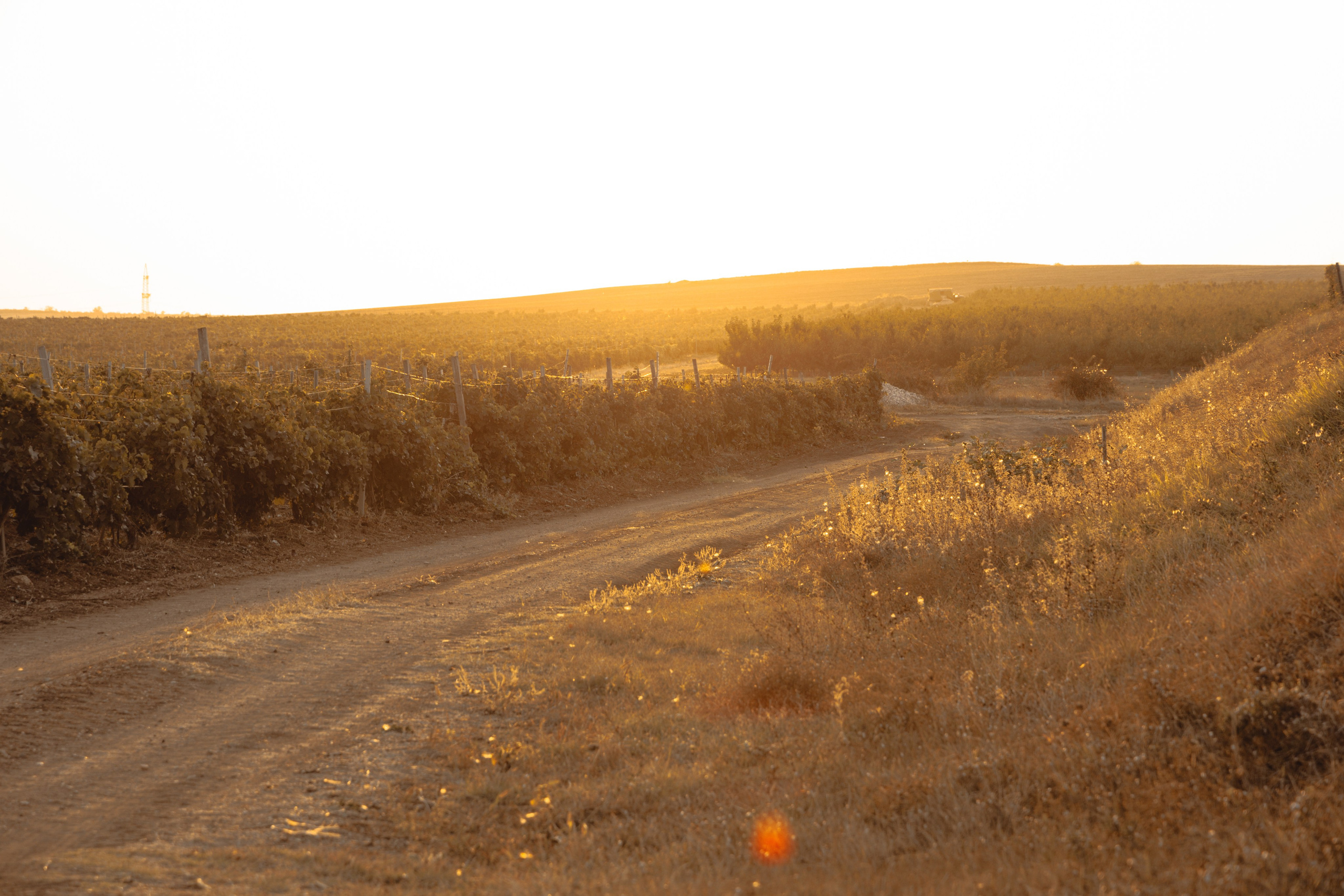 Domik в саду. Артем Корнев Фотограф