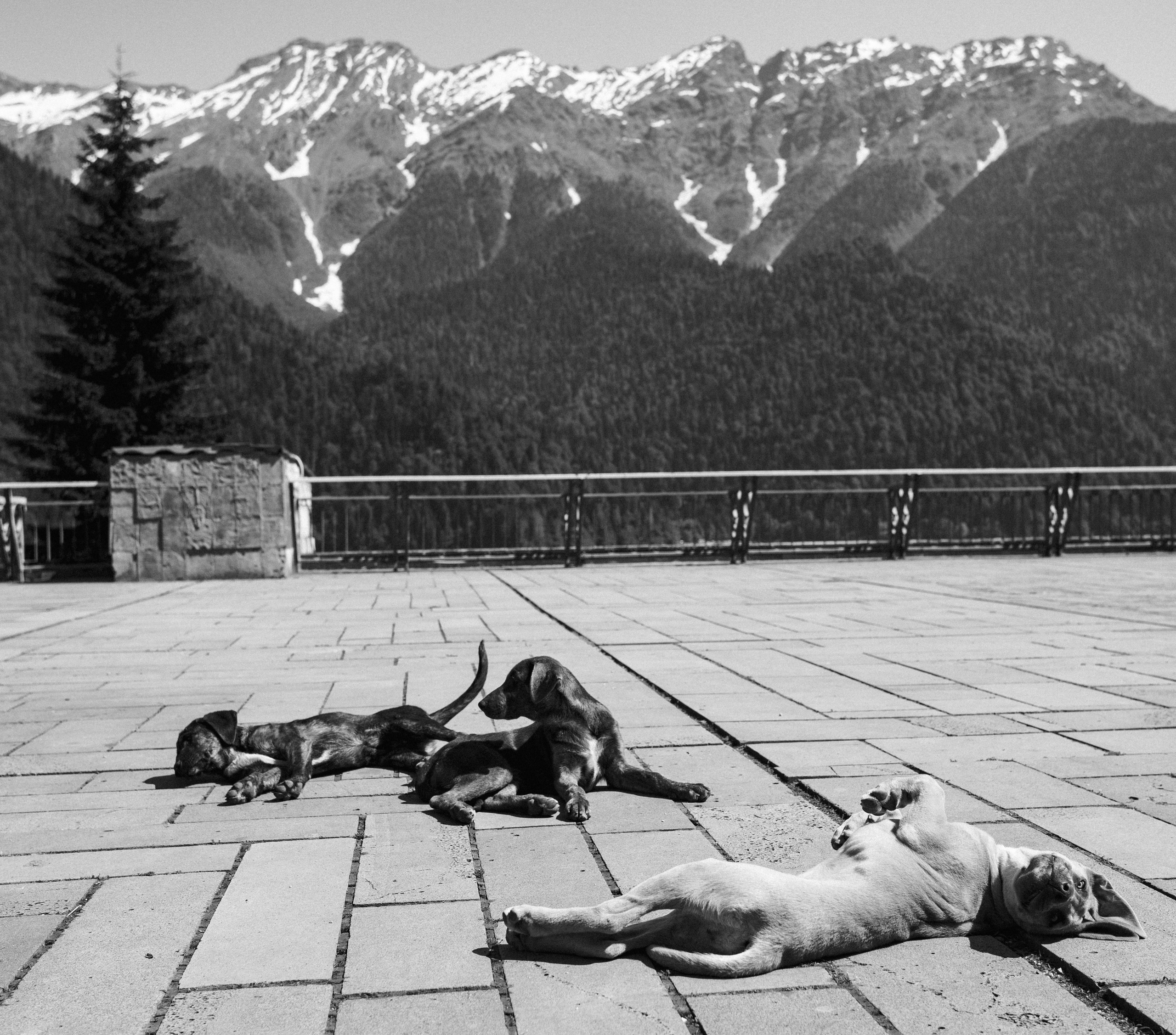 Urban. Артем Корнев Фотограф